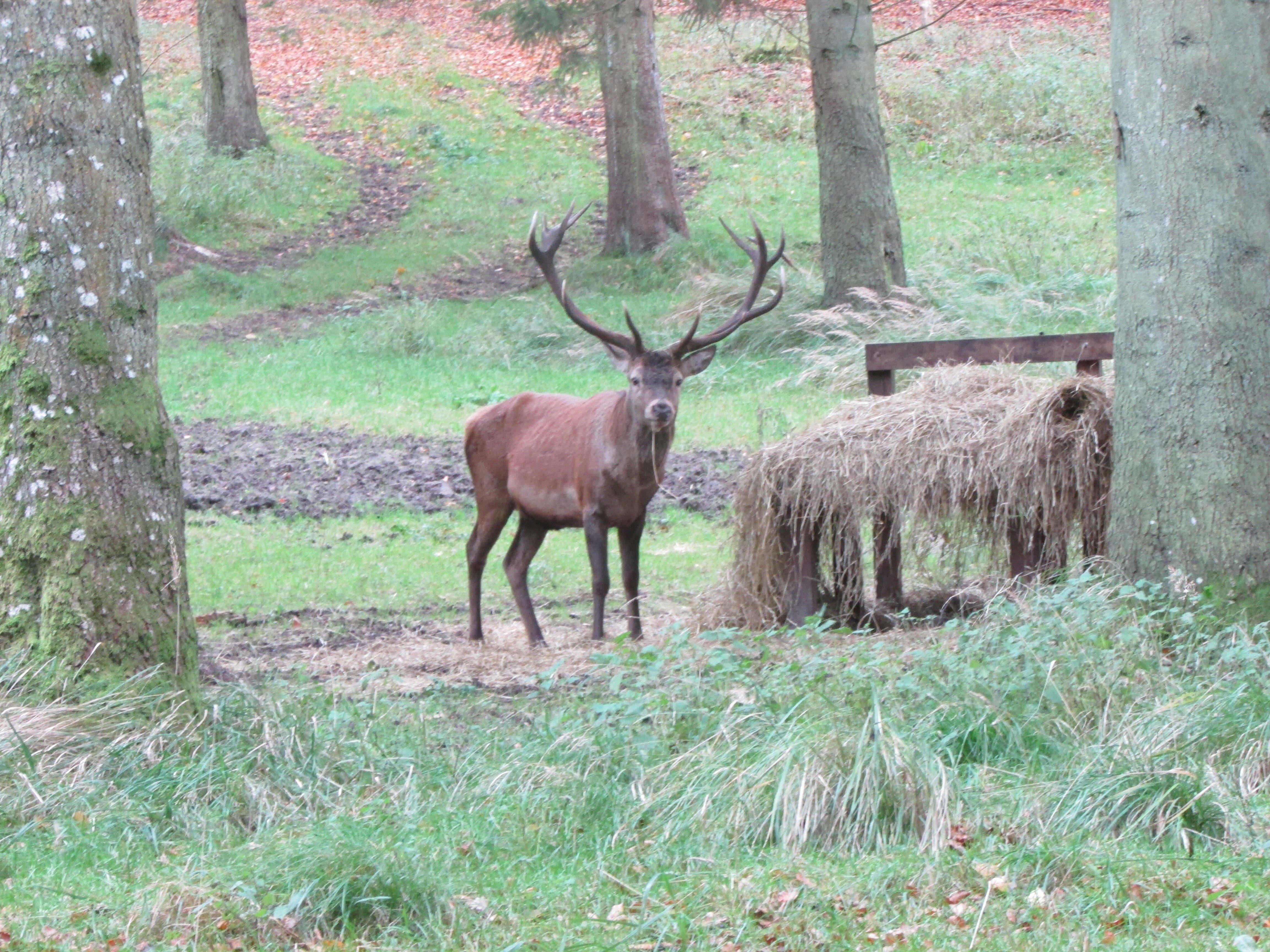 Photo by Jens-Peter M