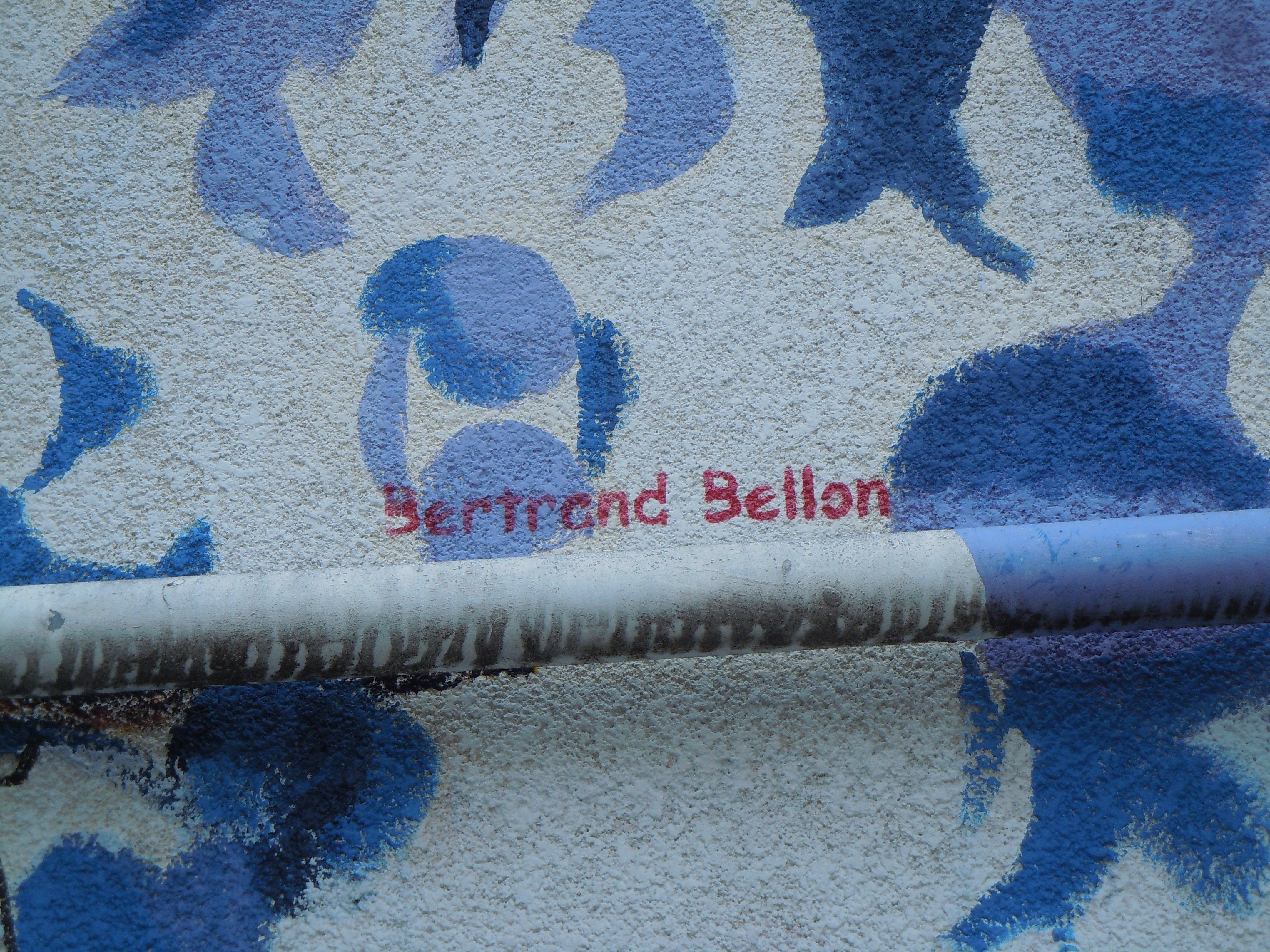 Fresque Jardin Majorelle