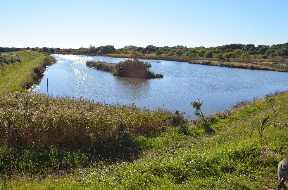 Lymington & Keyhaven Marshes