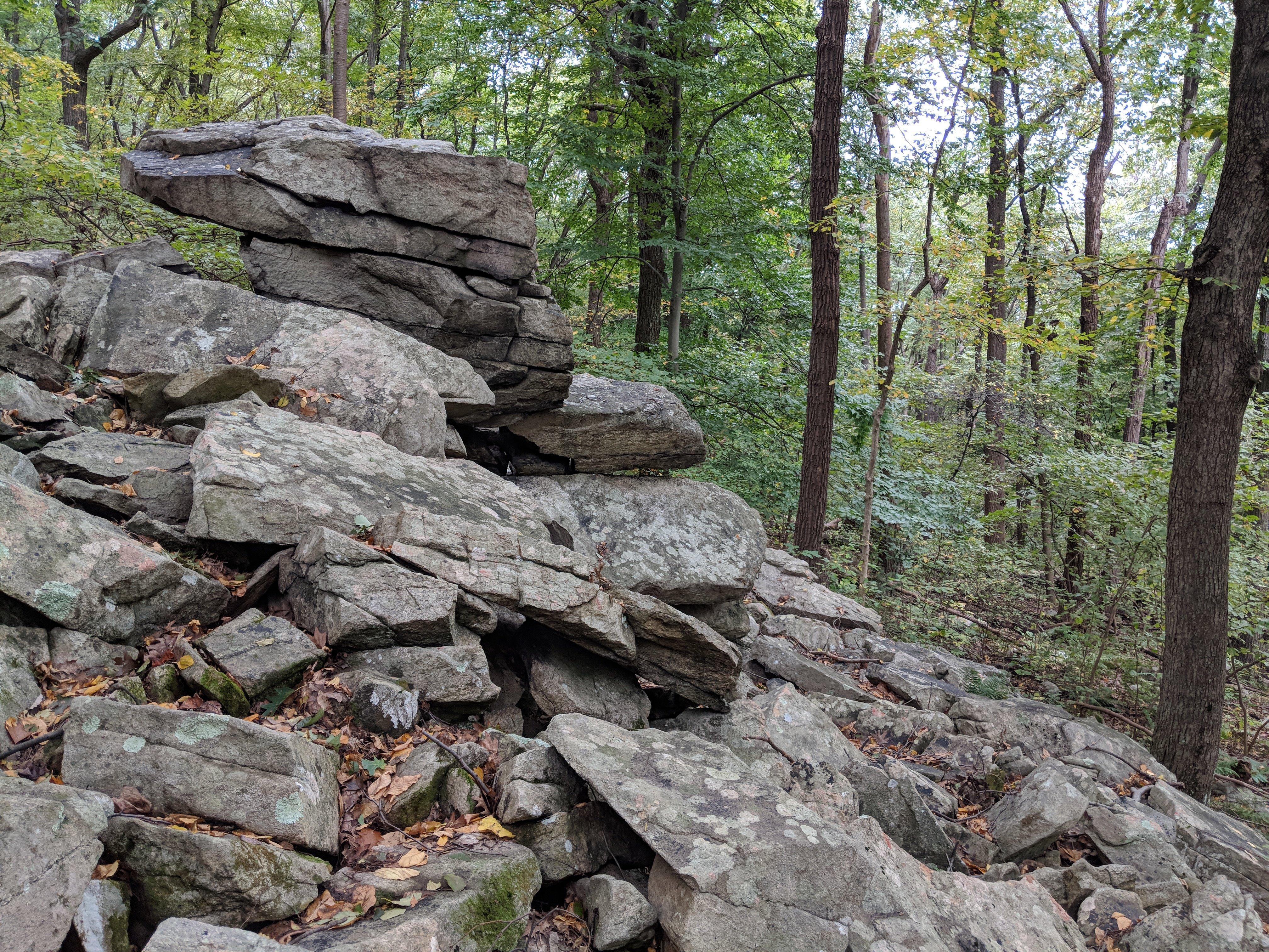 Photo by Hummel_Family