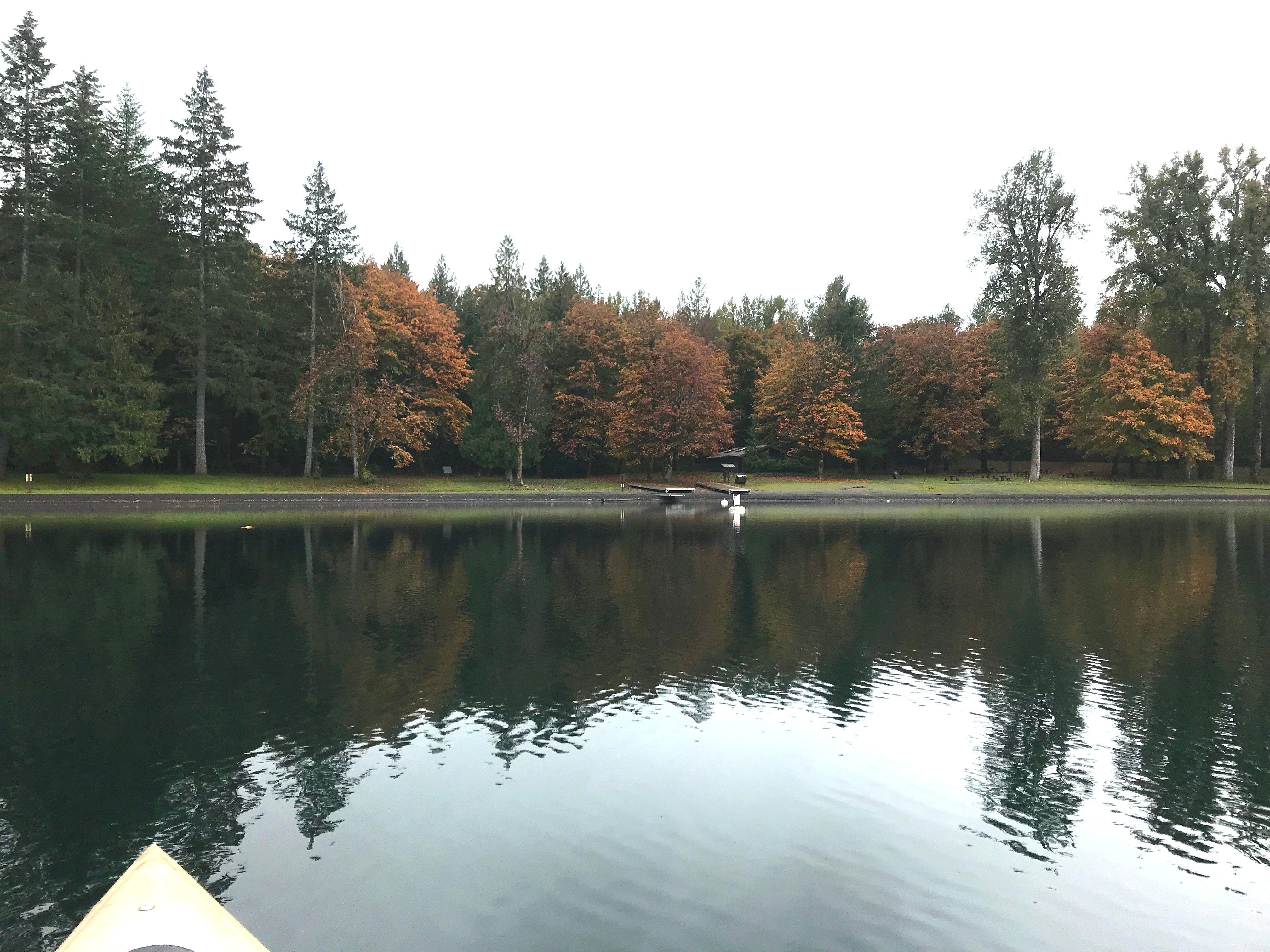 Delta Grove Campground, Cultus Lake Provincial Park