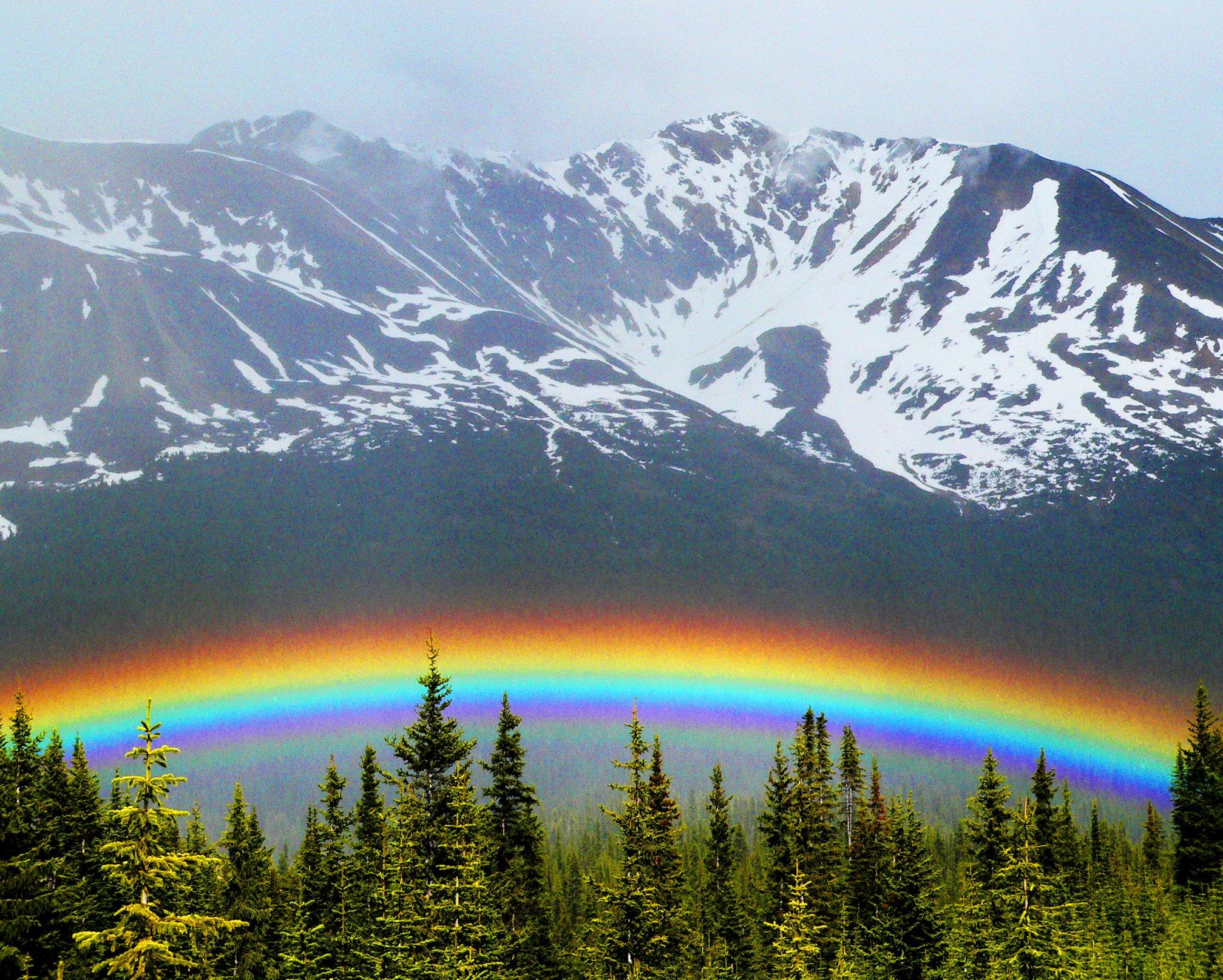 Photo by jasperartgallery