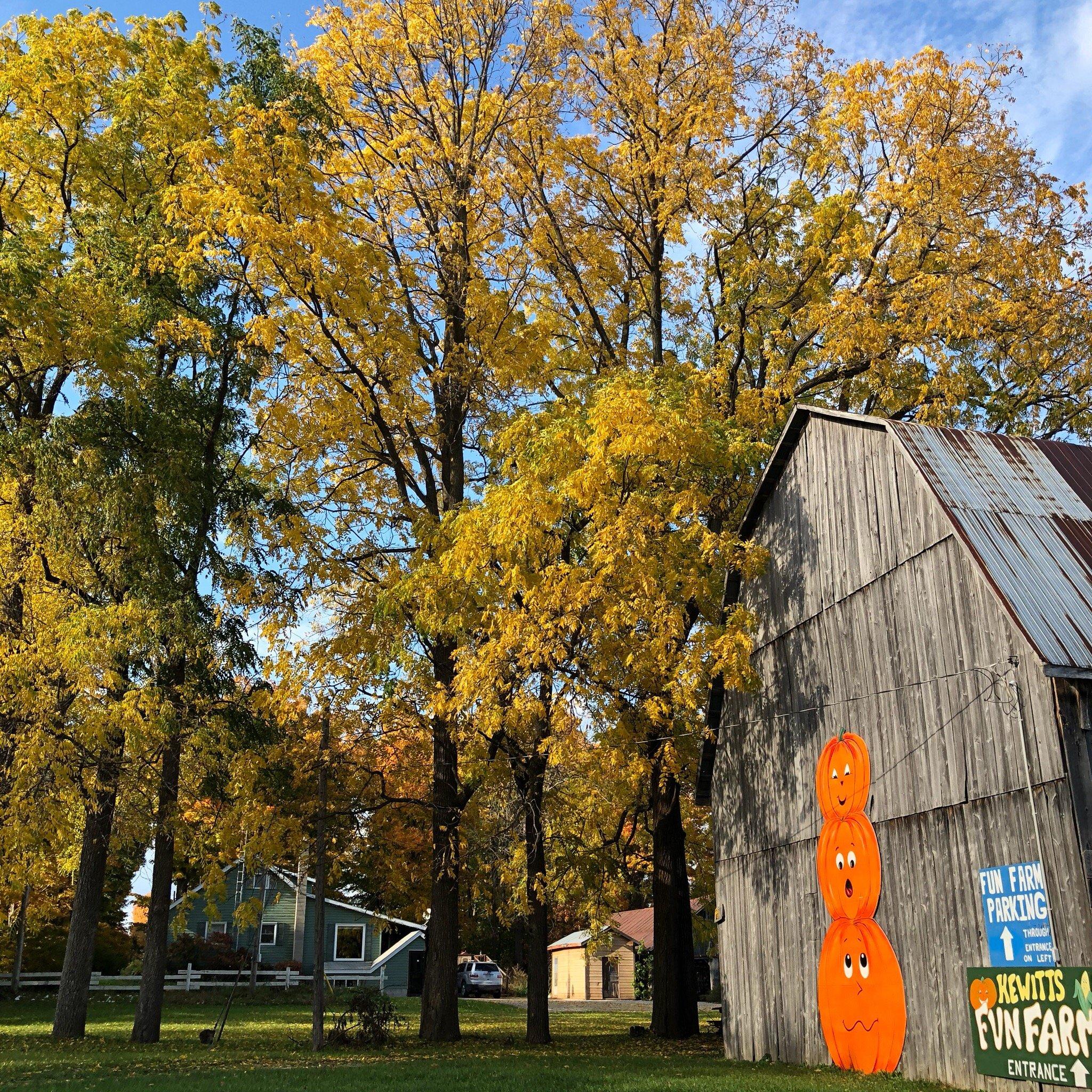 Hewitt's Farm Market