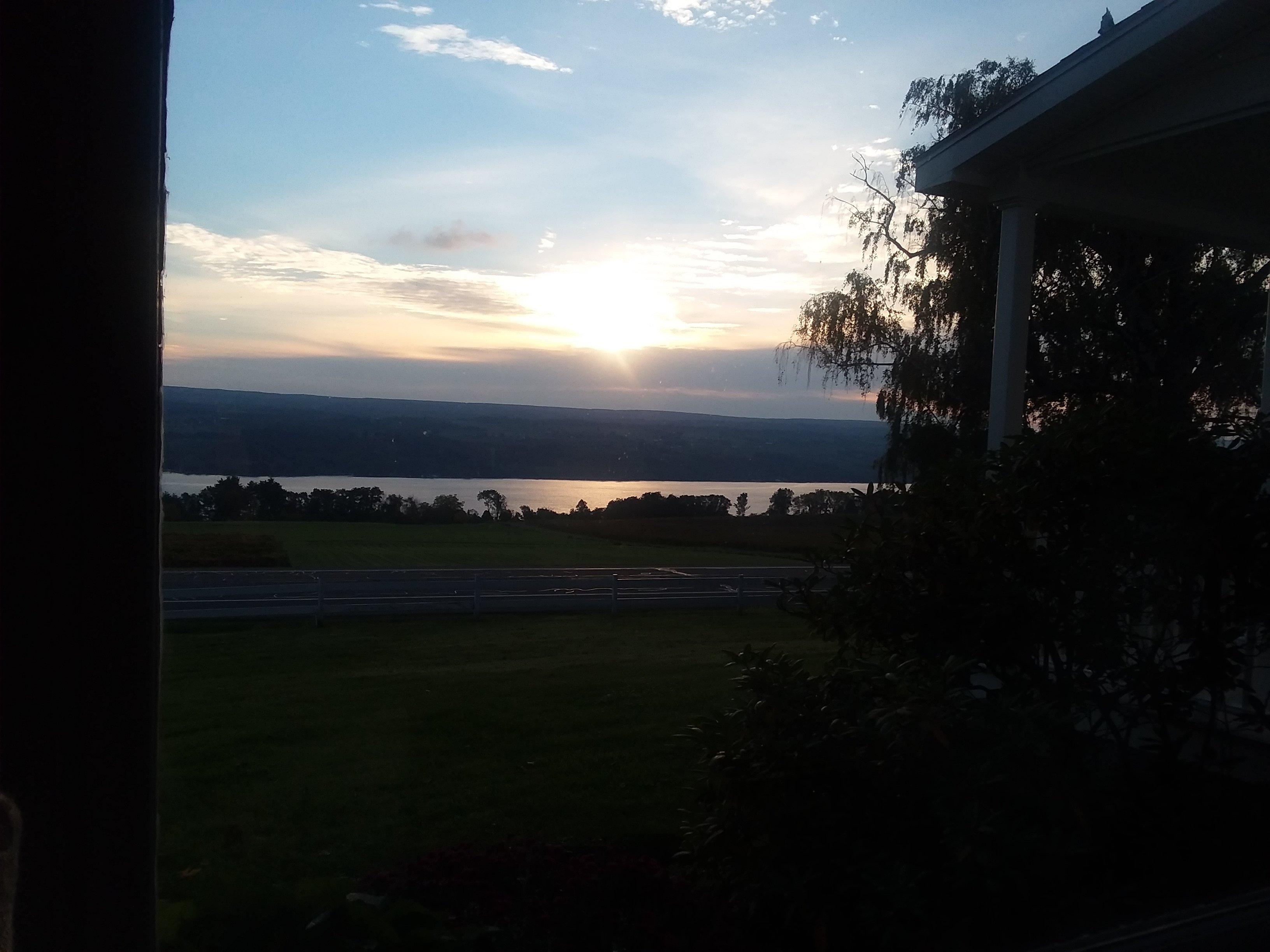 Tall Pines Above Seneca