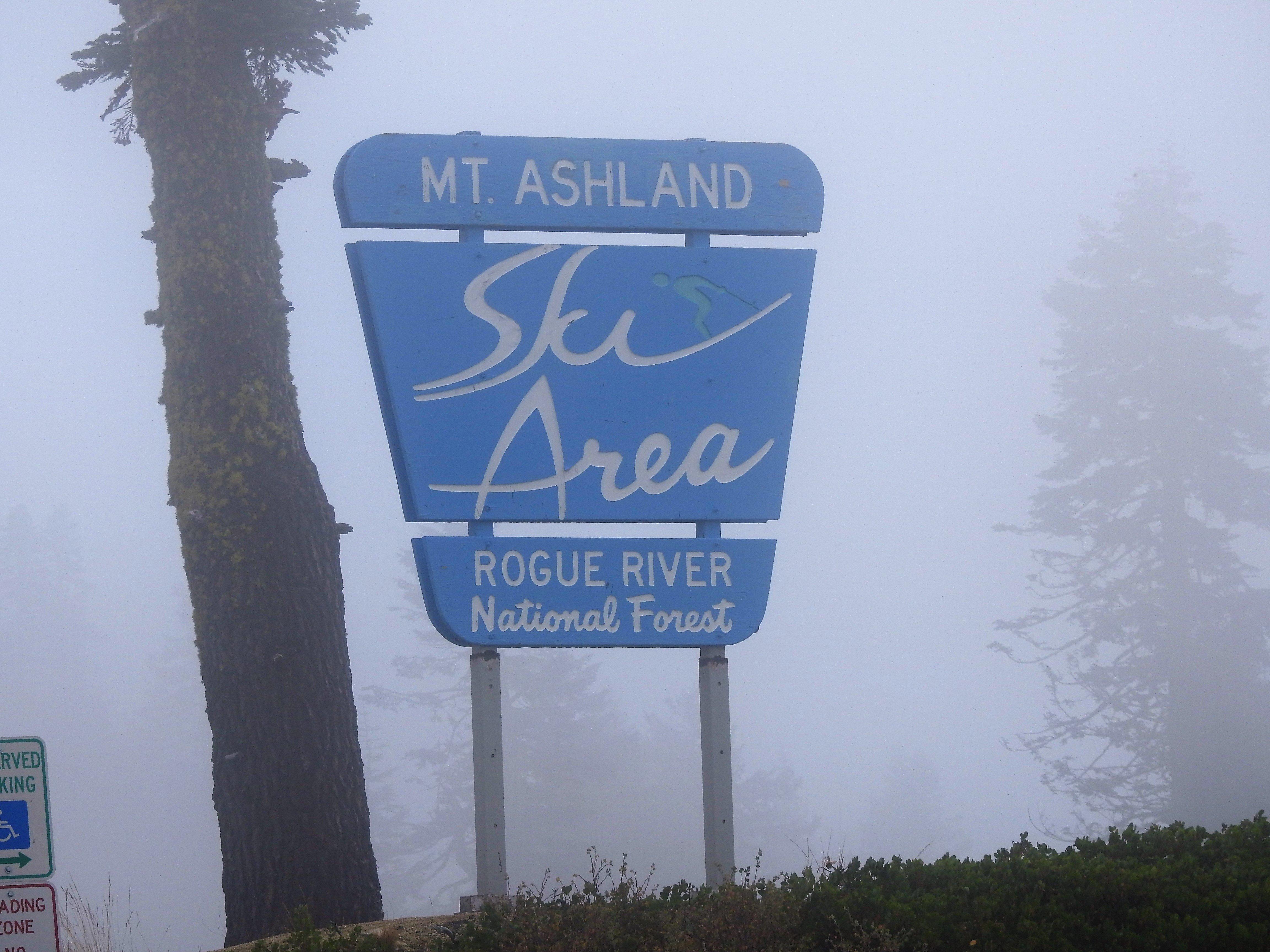 Photo by Sunshine311921