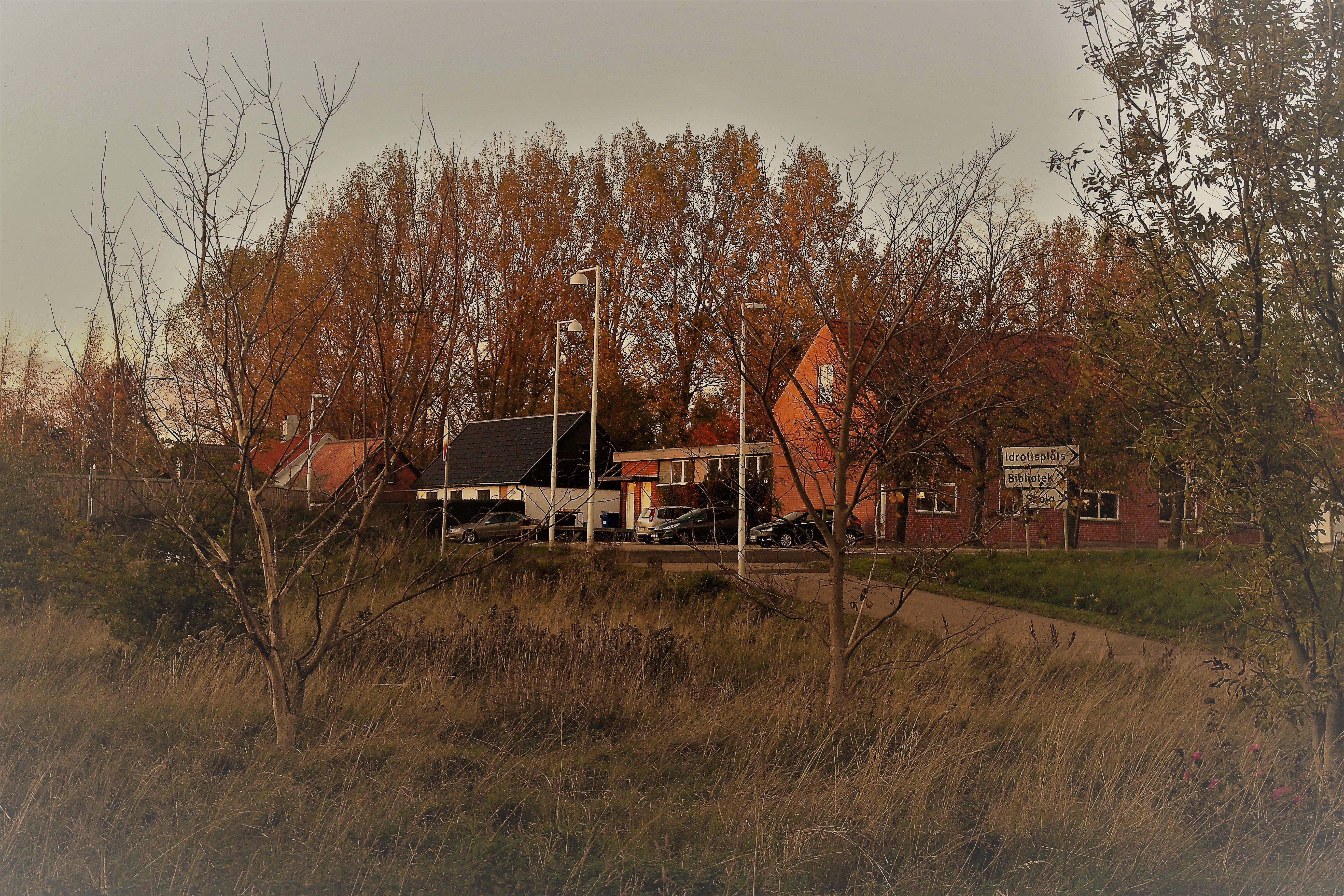 Västra Ingelstads Bibliotek