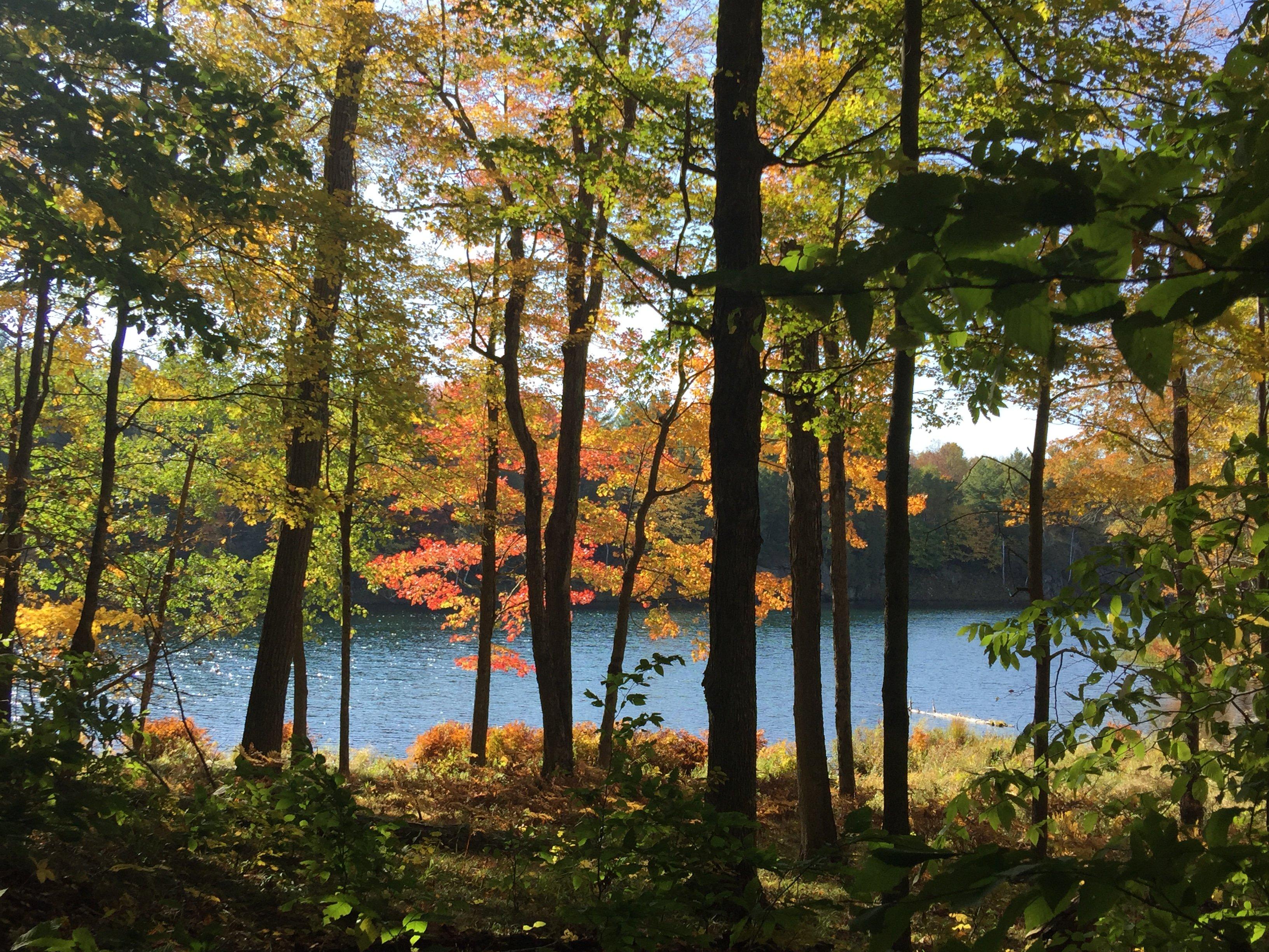 Frontenac Provincial Park