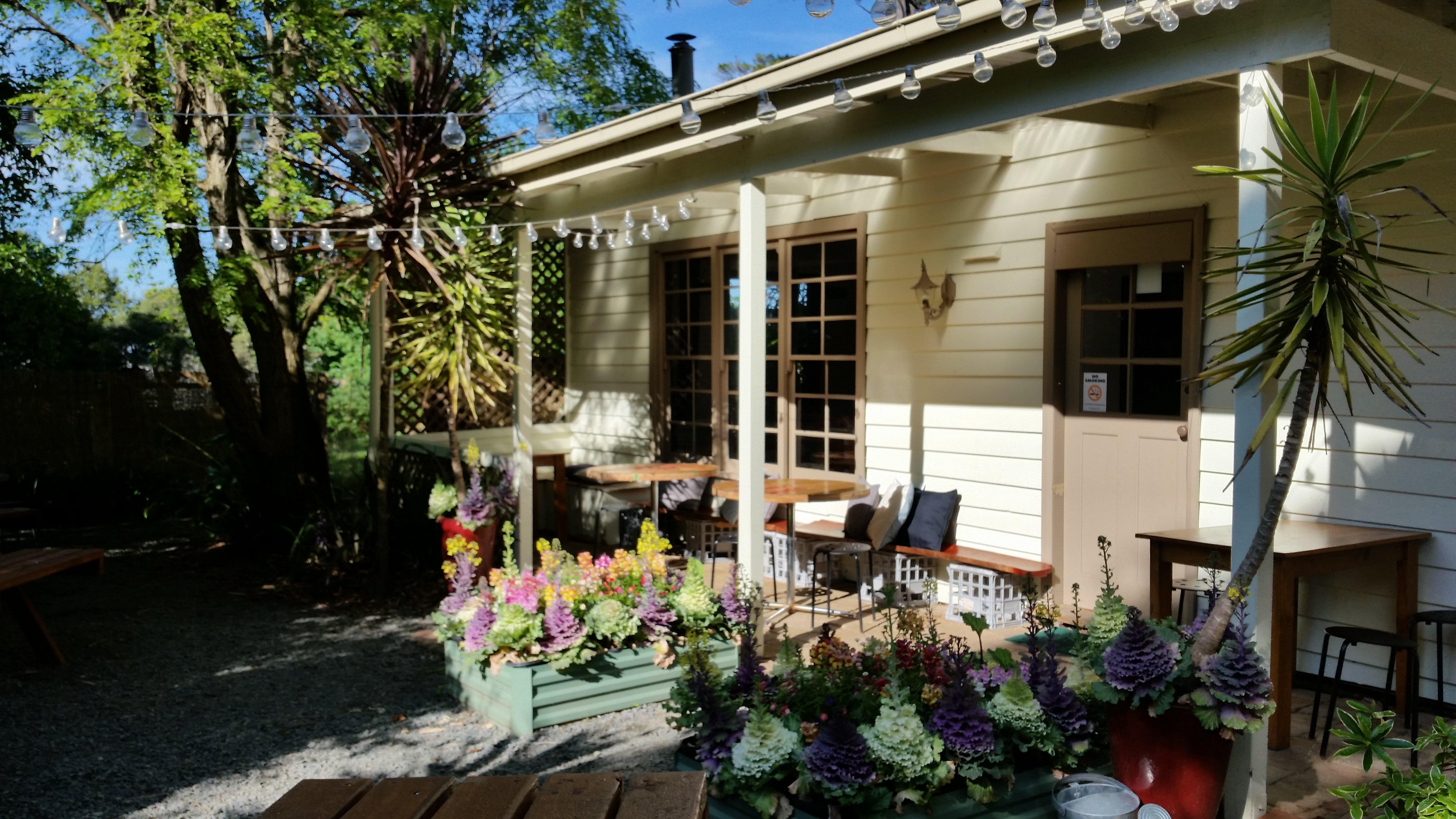 Photo by Companion799548