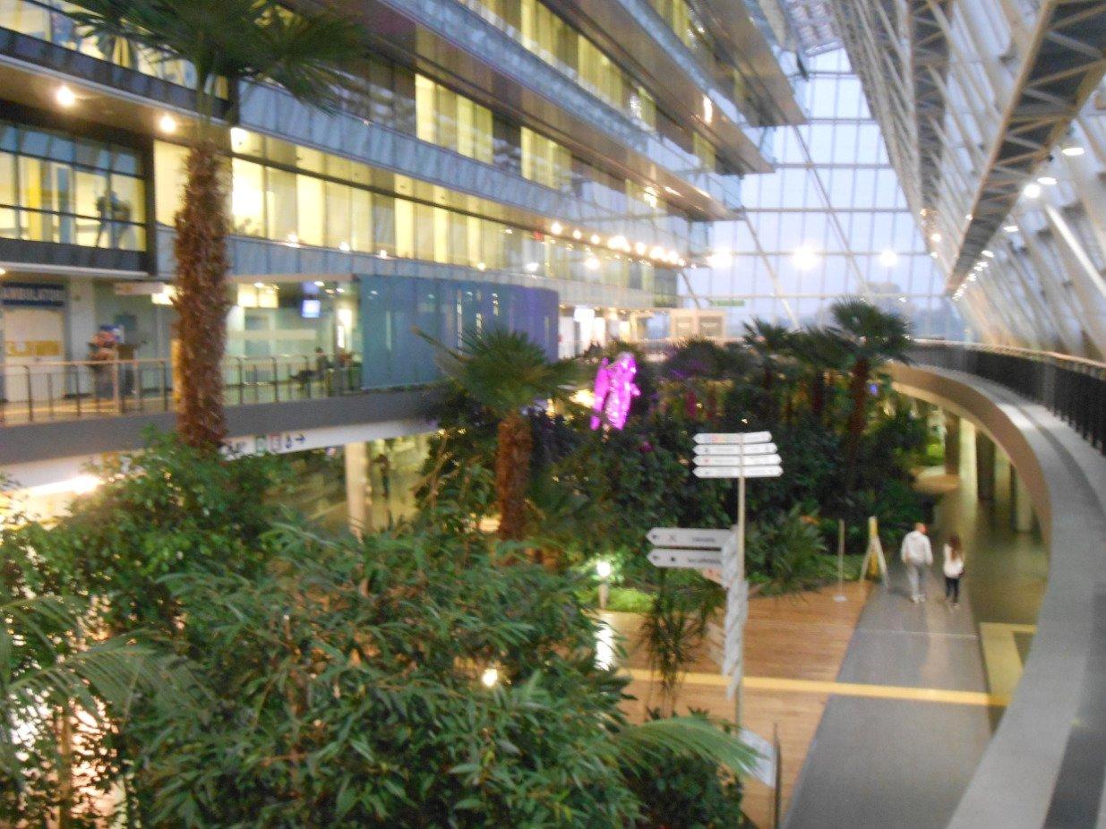 Ospedale Dell'Angelo