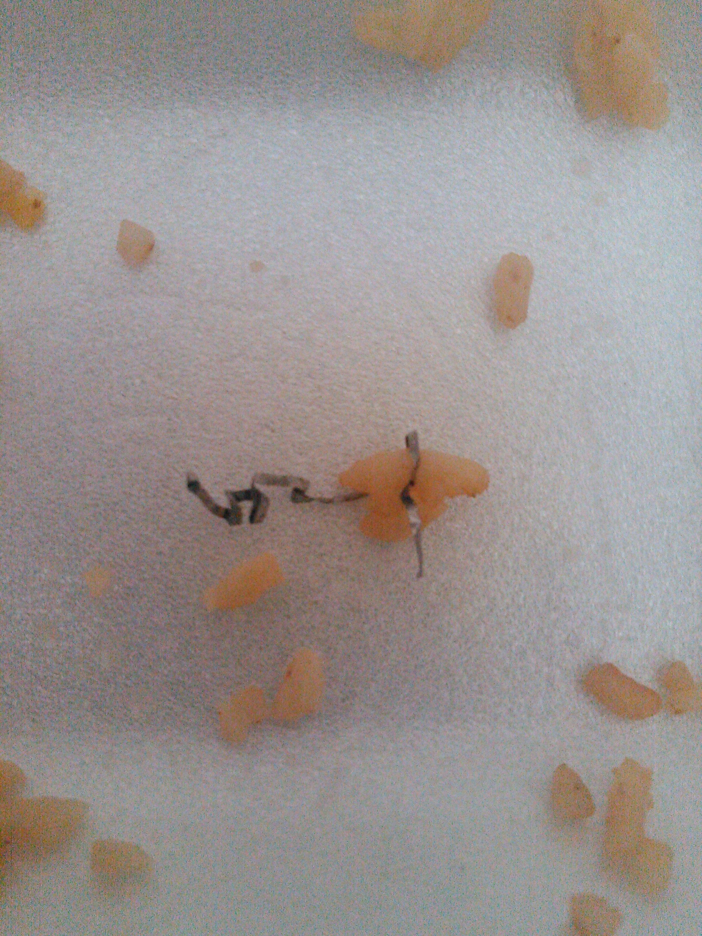 Photo by Anastasia B