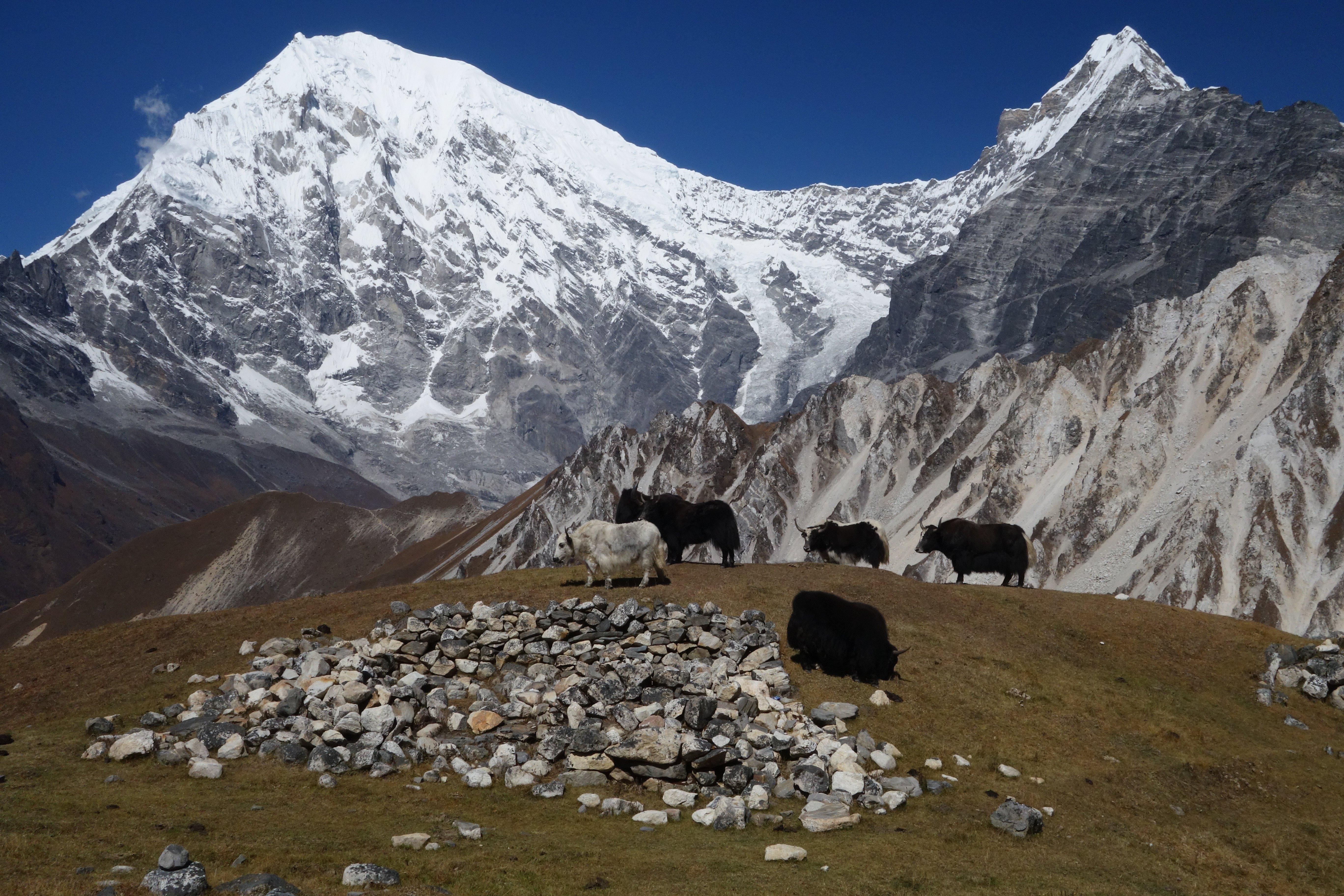 Karma Eco Adventure Nepal