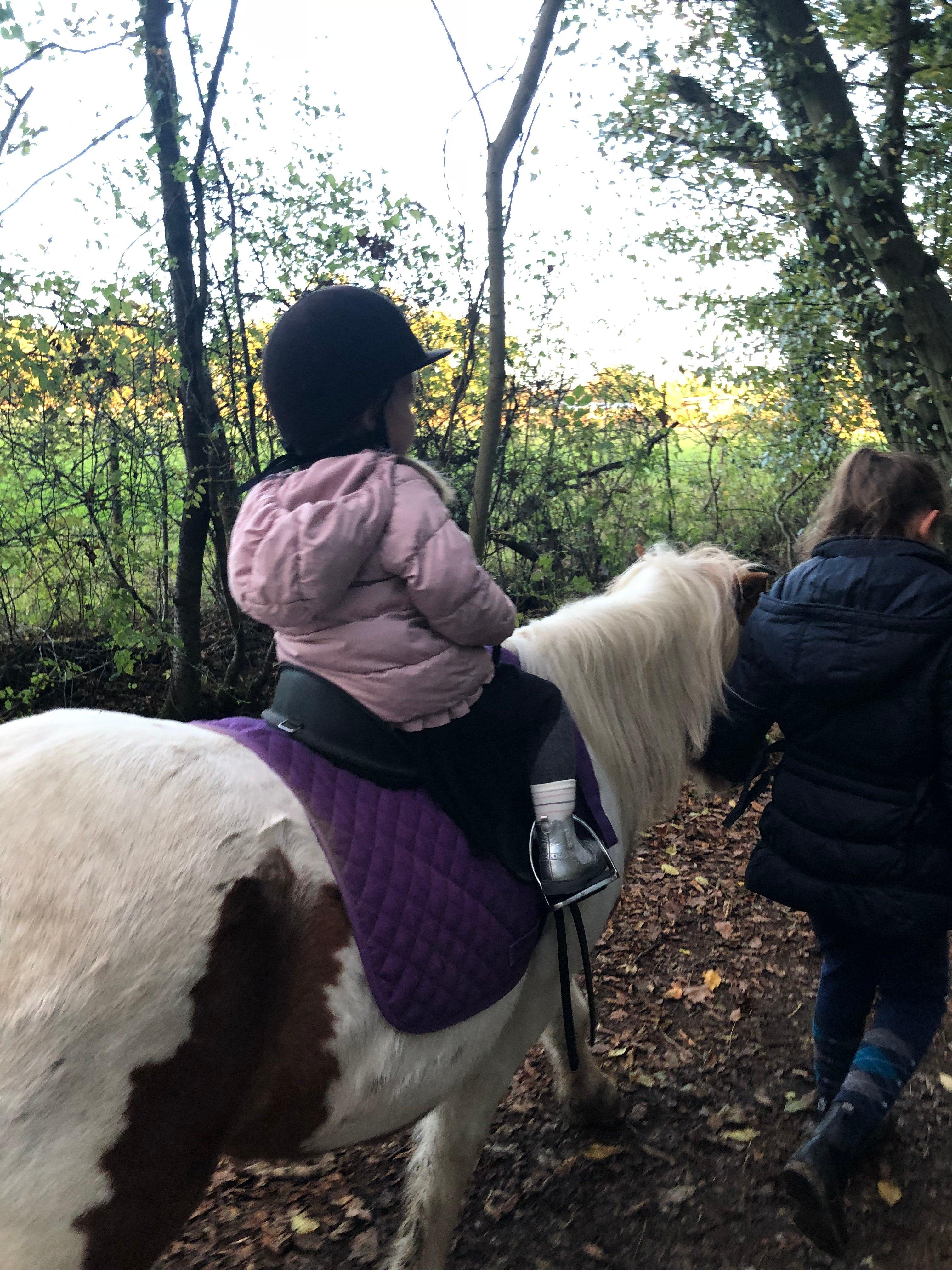 Ruislip Park Stables