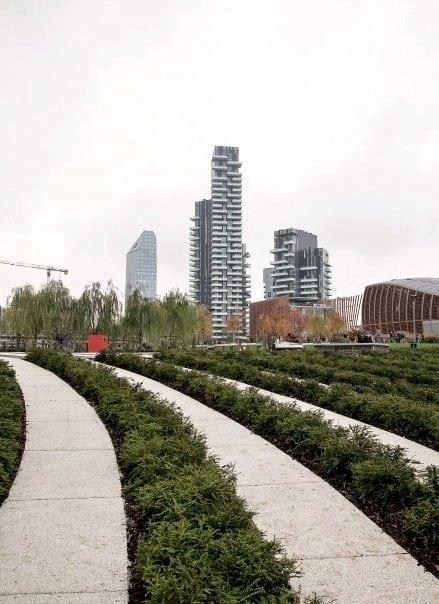 Biblioteca degli alberi