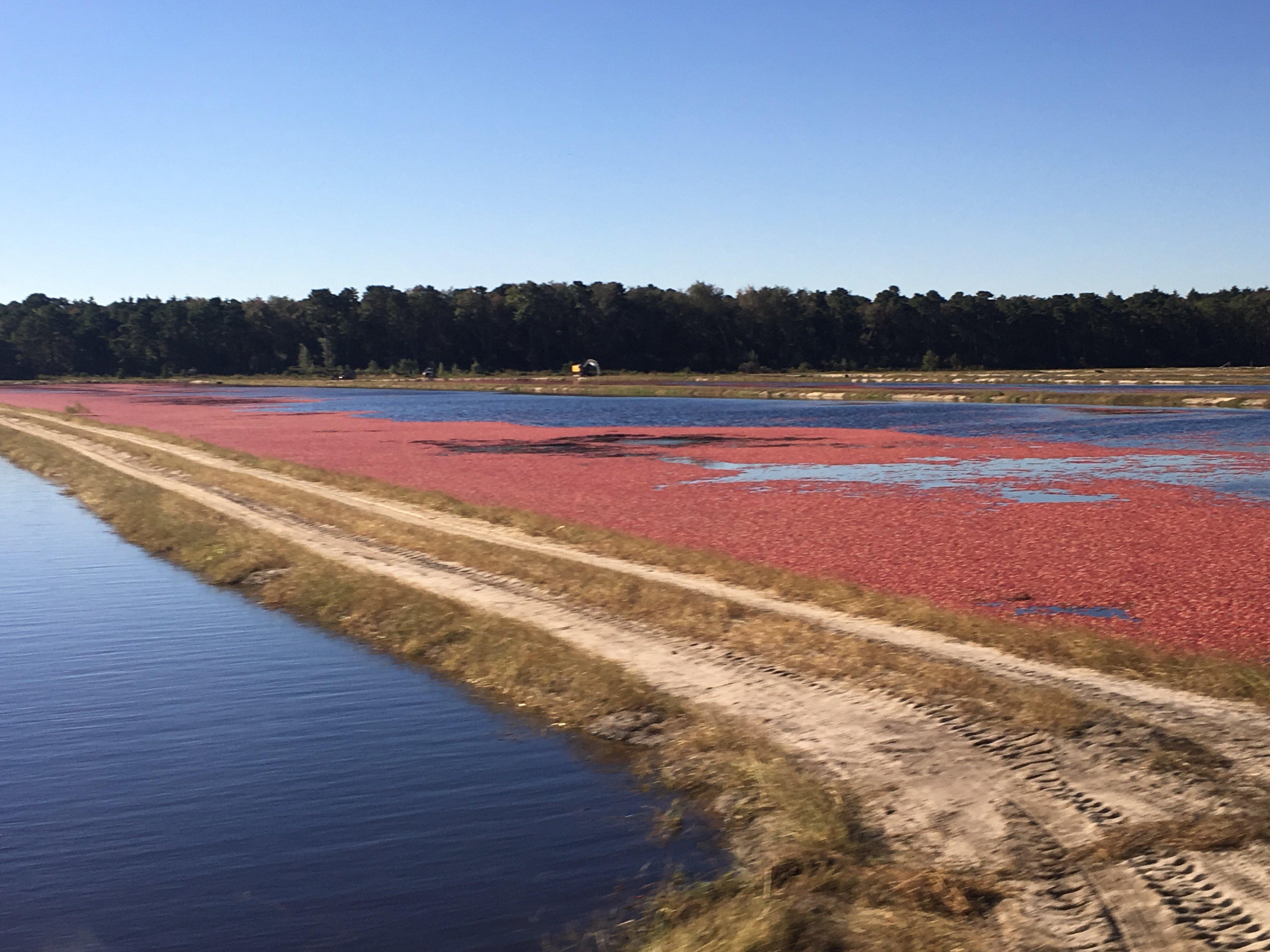 Photo by LoringandGary H