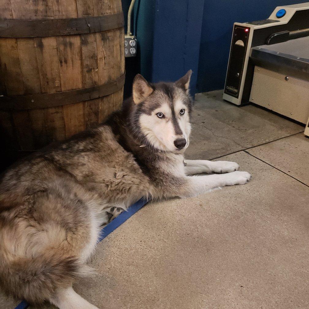 Fourteen Cannons Brewery