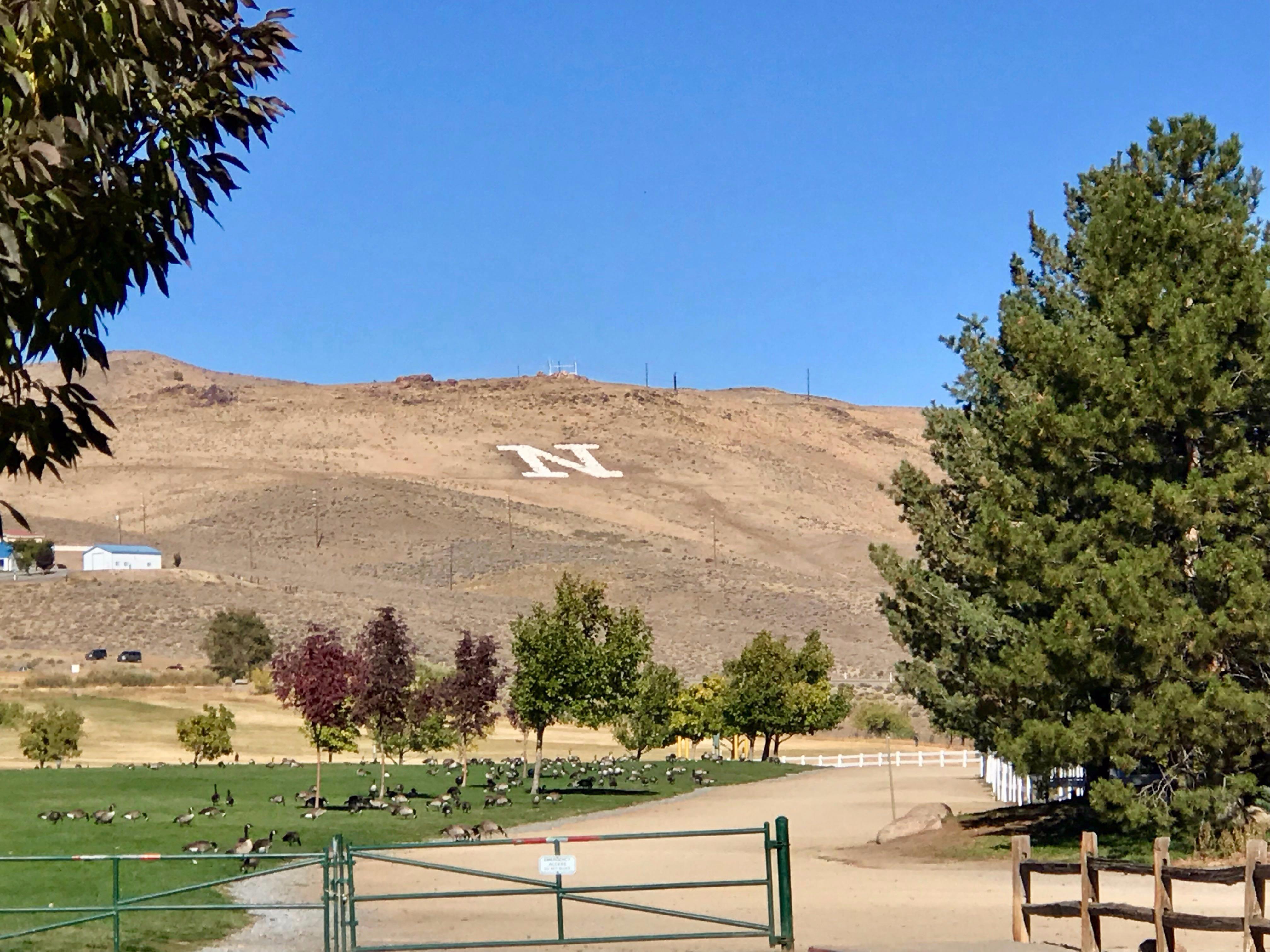 Photo by claireleefl