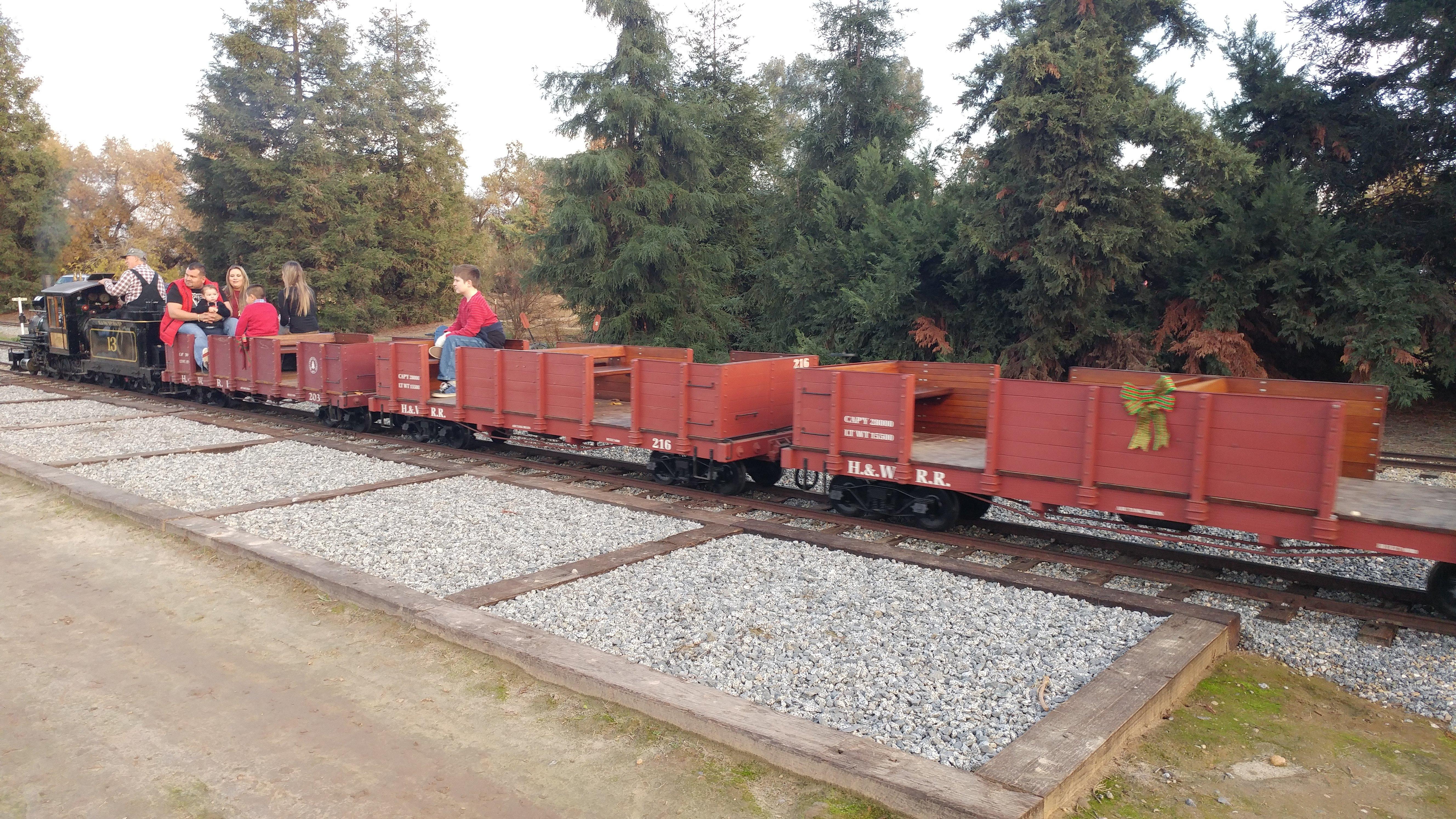 Hillcrest Christmas Tree & Pumpkin Farm