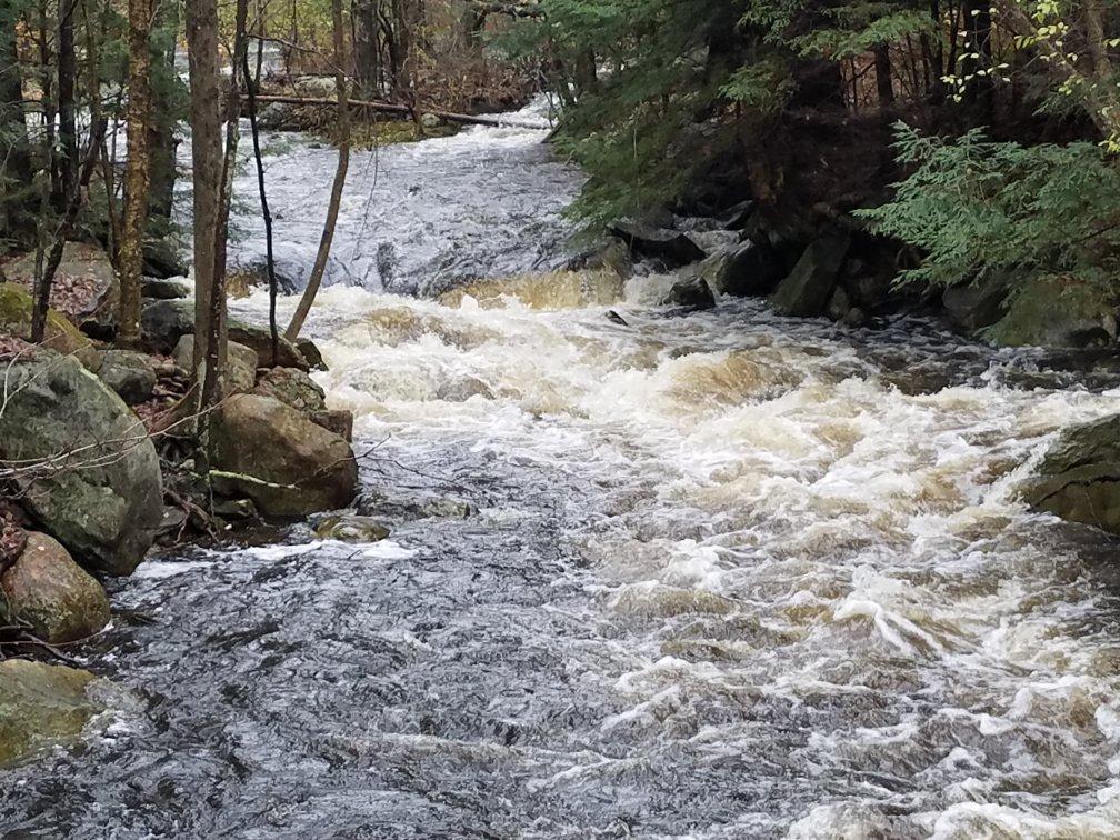 Sunnybrook State Park