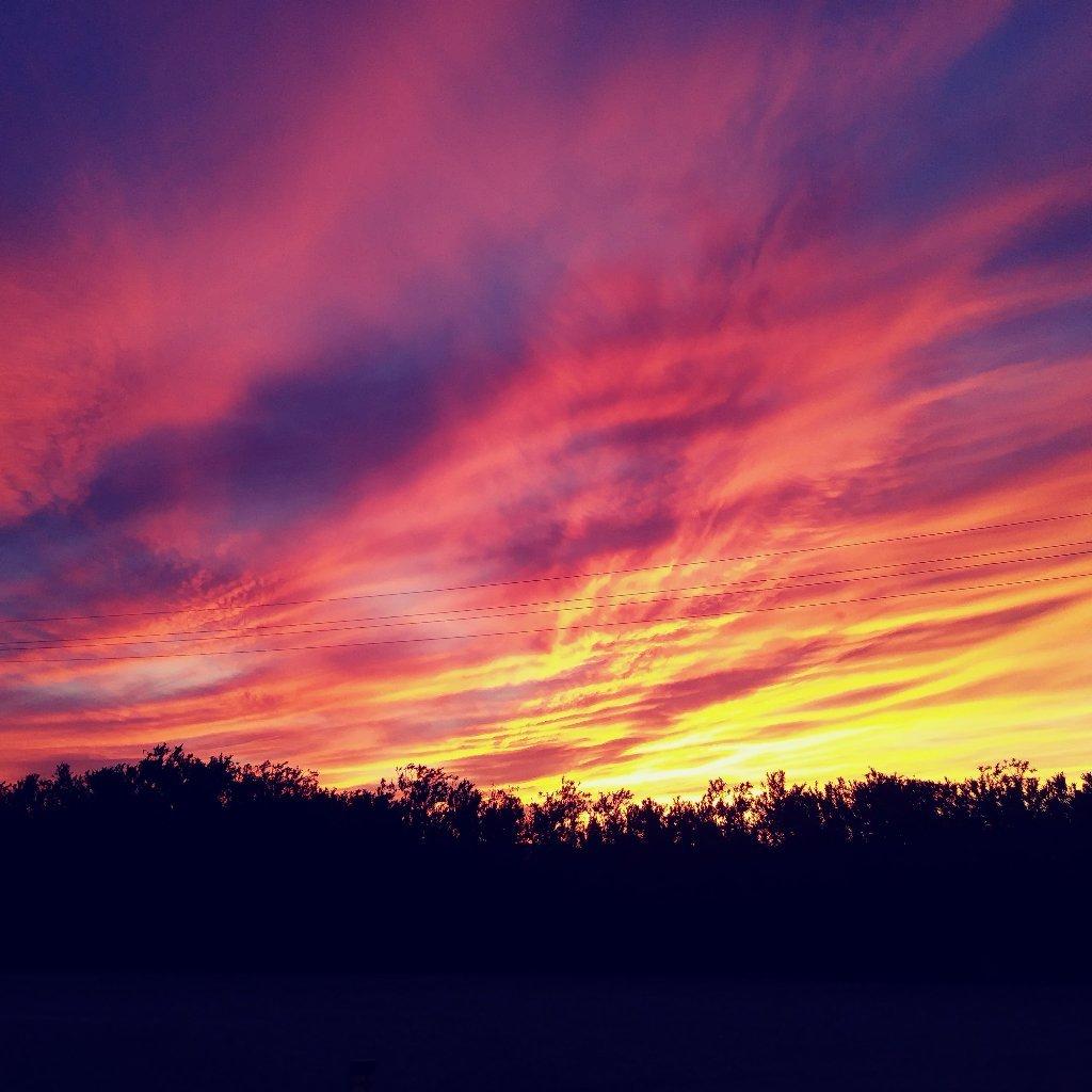 Photo by KaroleSteve