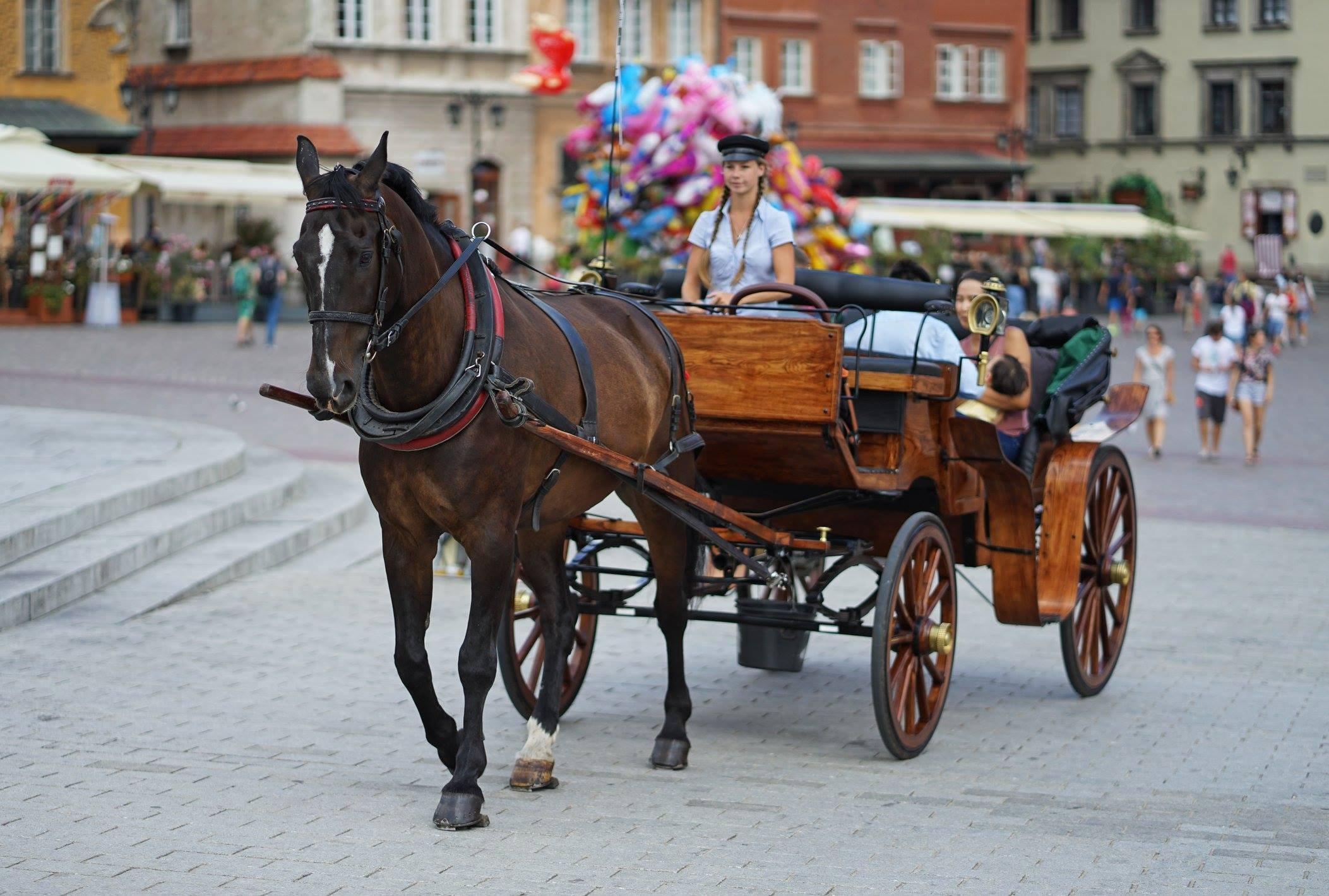Warszawska dorożkarka