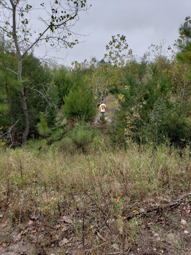 Horry County Bike Run Park