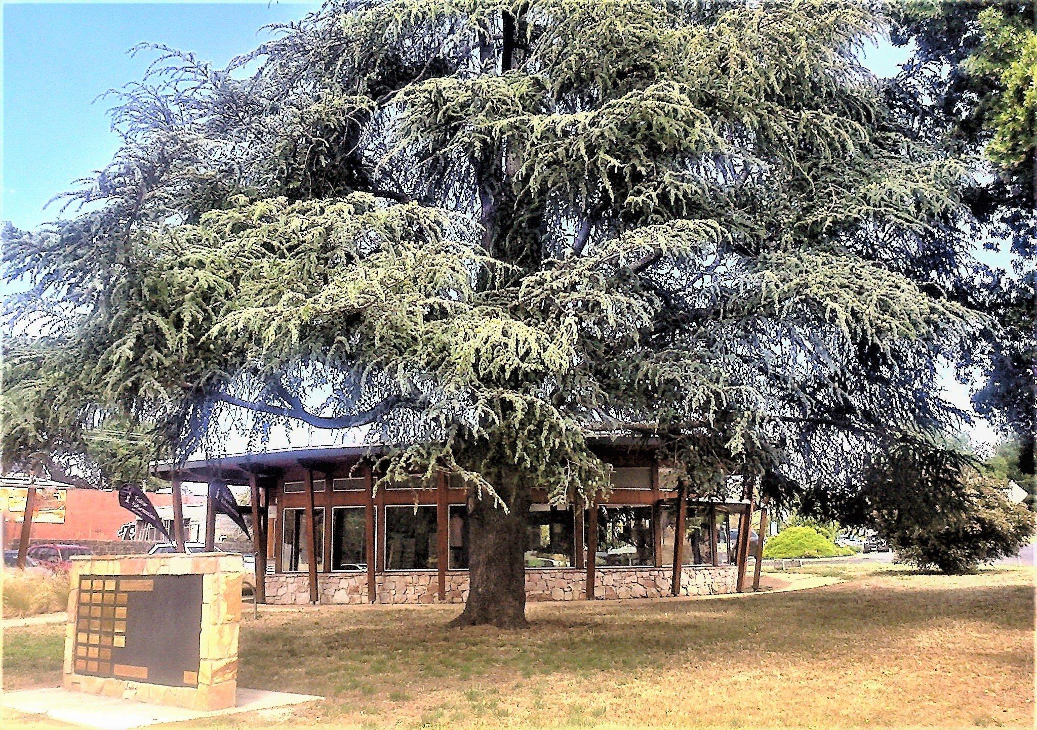 Creswick Visitor Information Centre