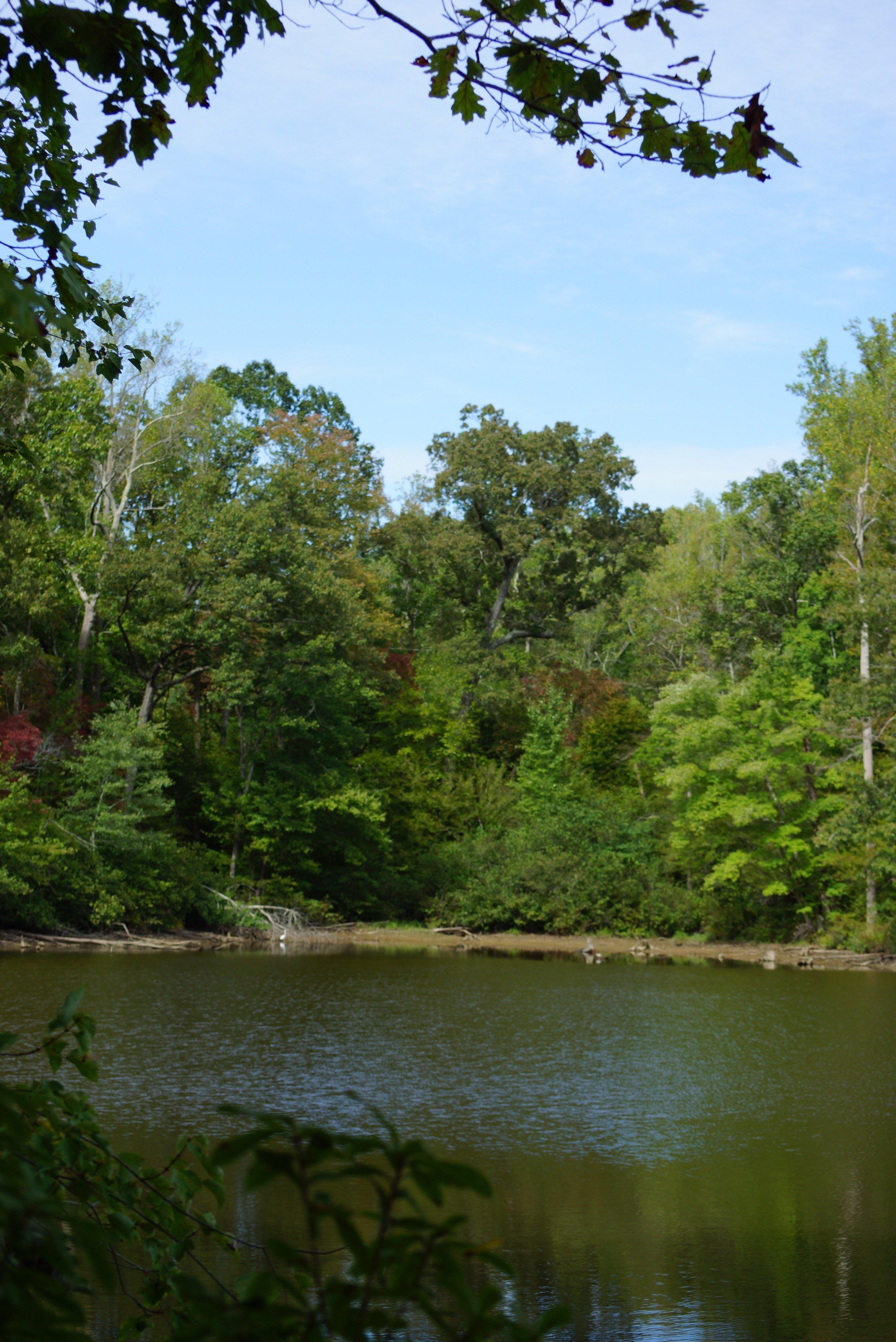 Natchez Trace State Park