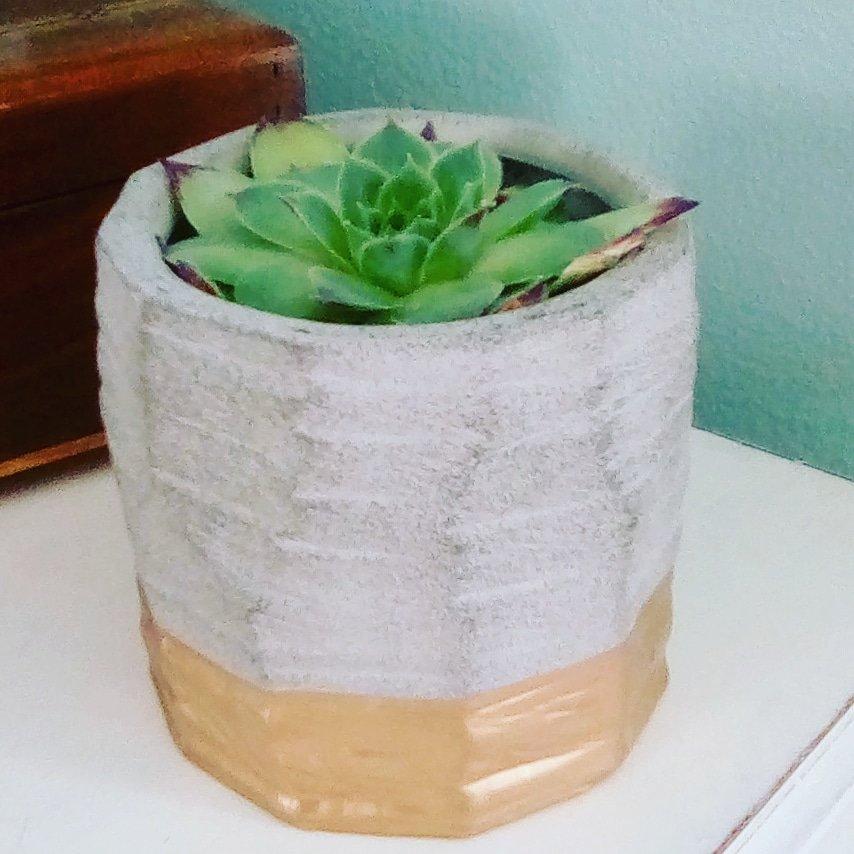 The Edge Climbing Gym