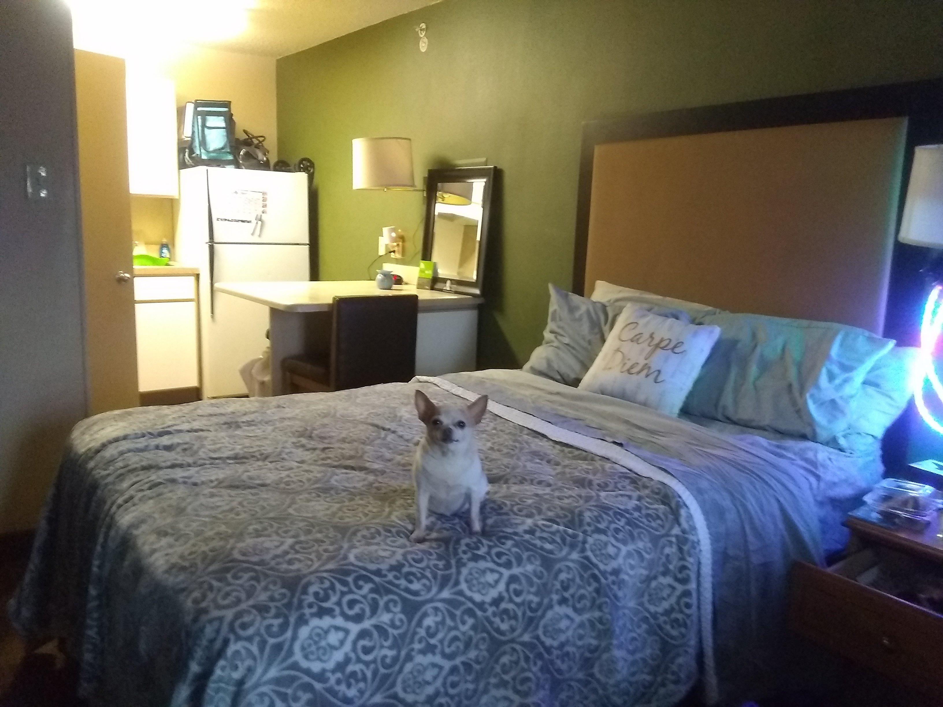 Extended Stay America - Austin - Arboretum - South