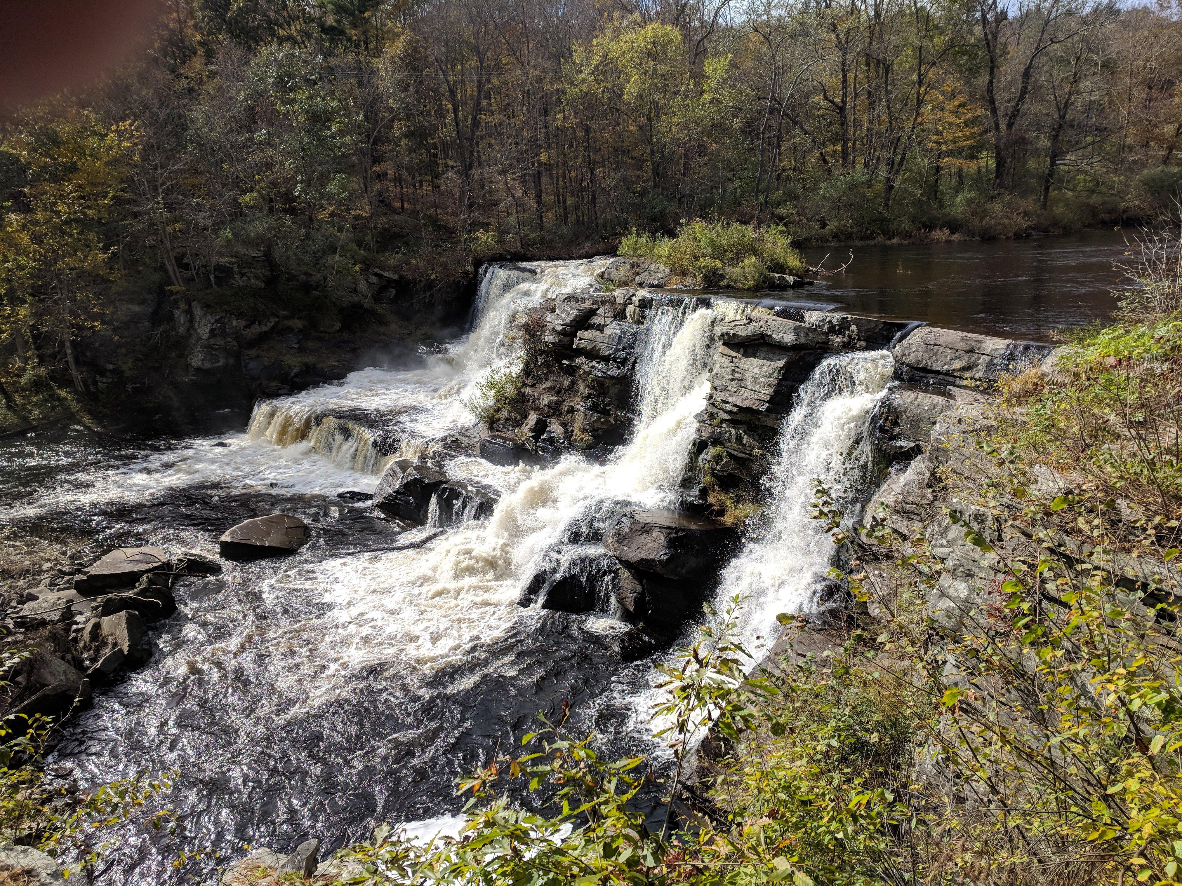 Photo by GarfieldMSB