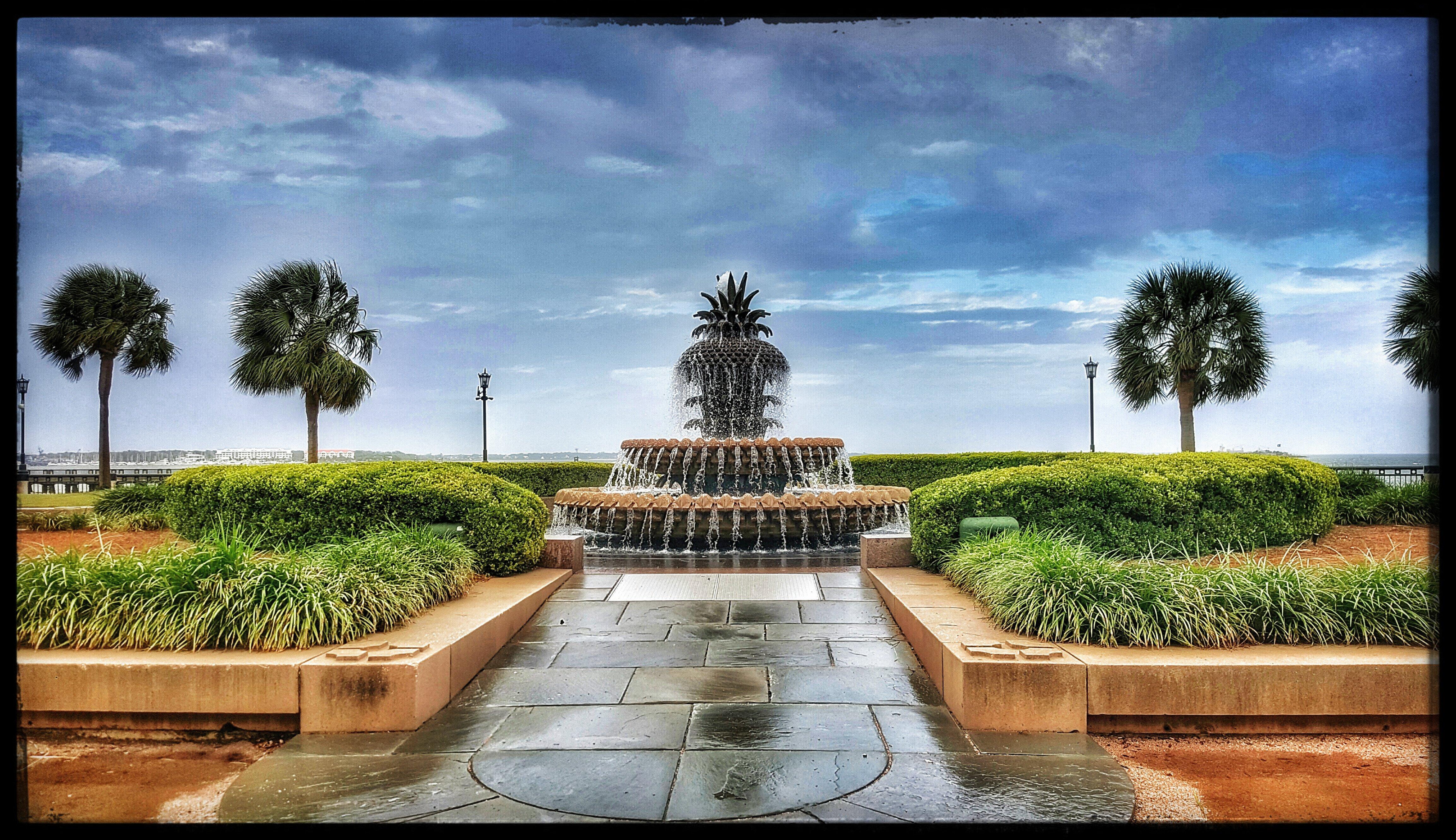 Pineapple Fountain