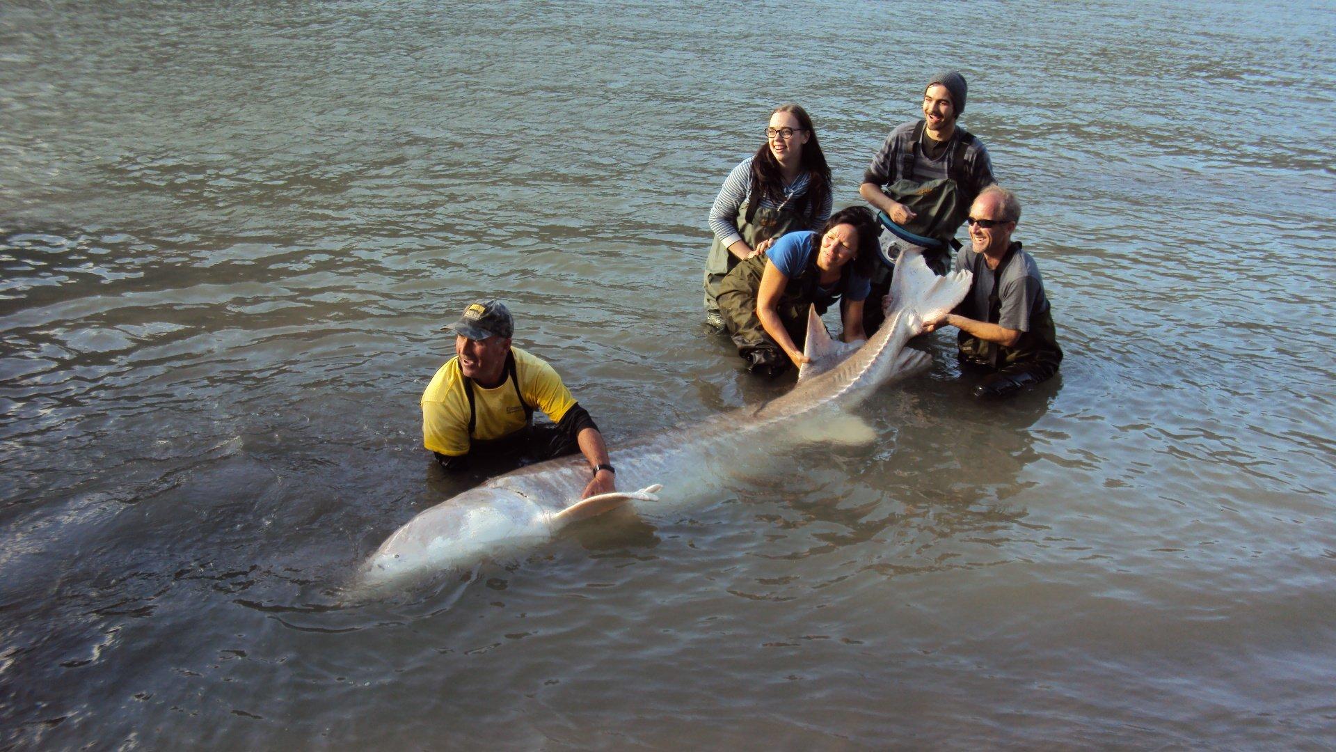 Cascade Fishing Adventures