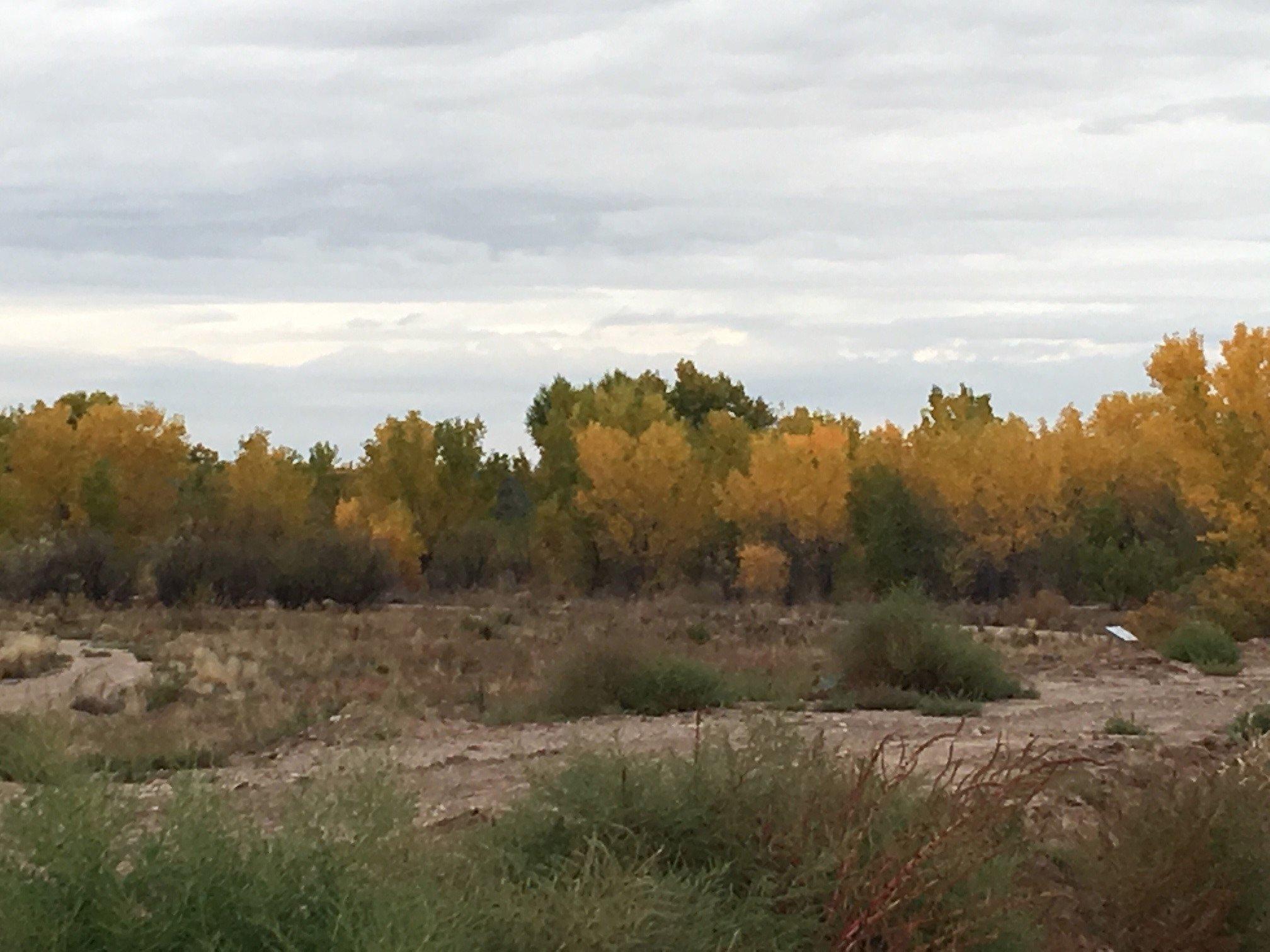 Whitfield Wildlife Conservation Area