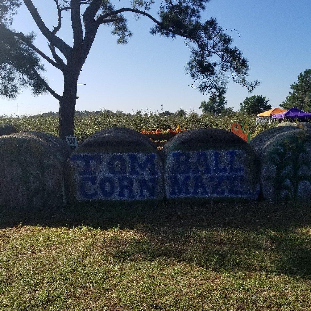 Photo by laurenhandley08