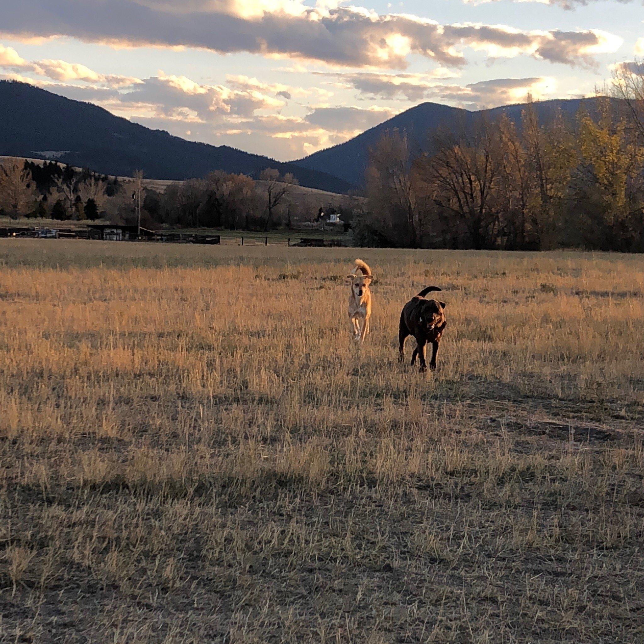 Photo by candaces0316