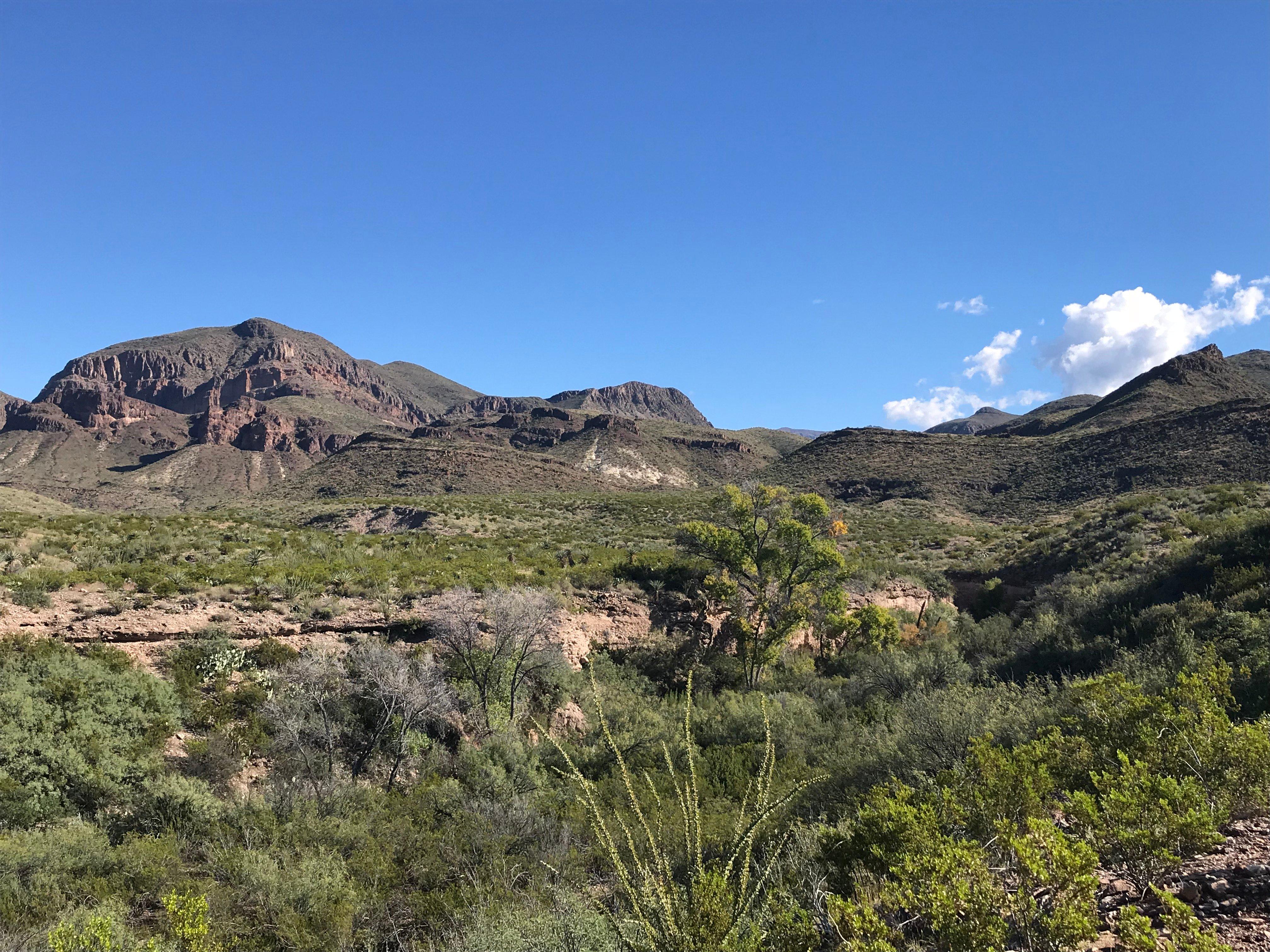 Ross Maxwell Scenic Drive