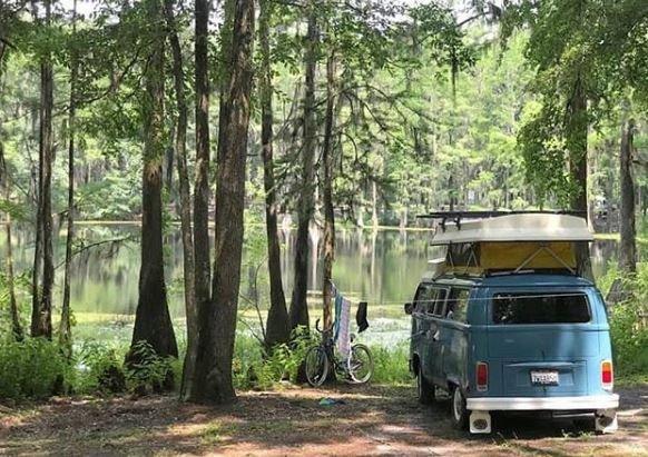 Spirit of the Suwannee