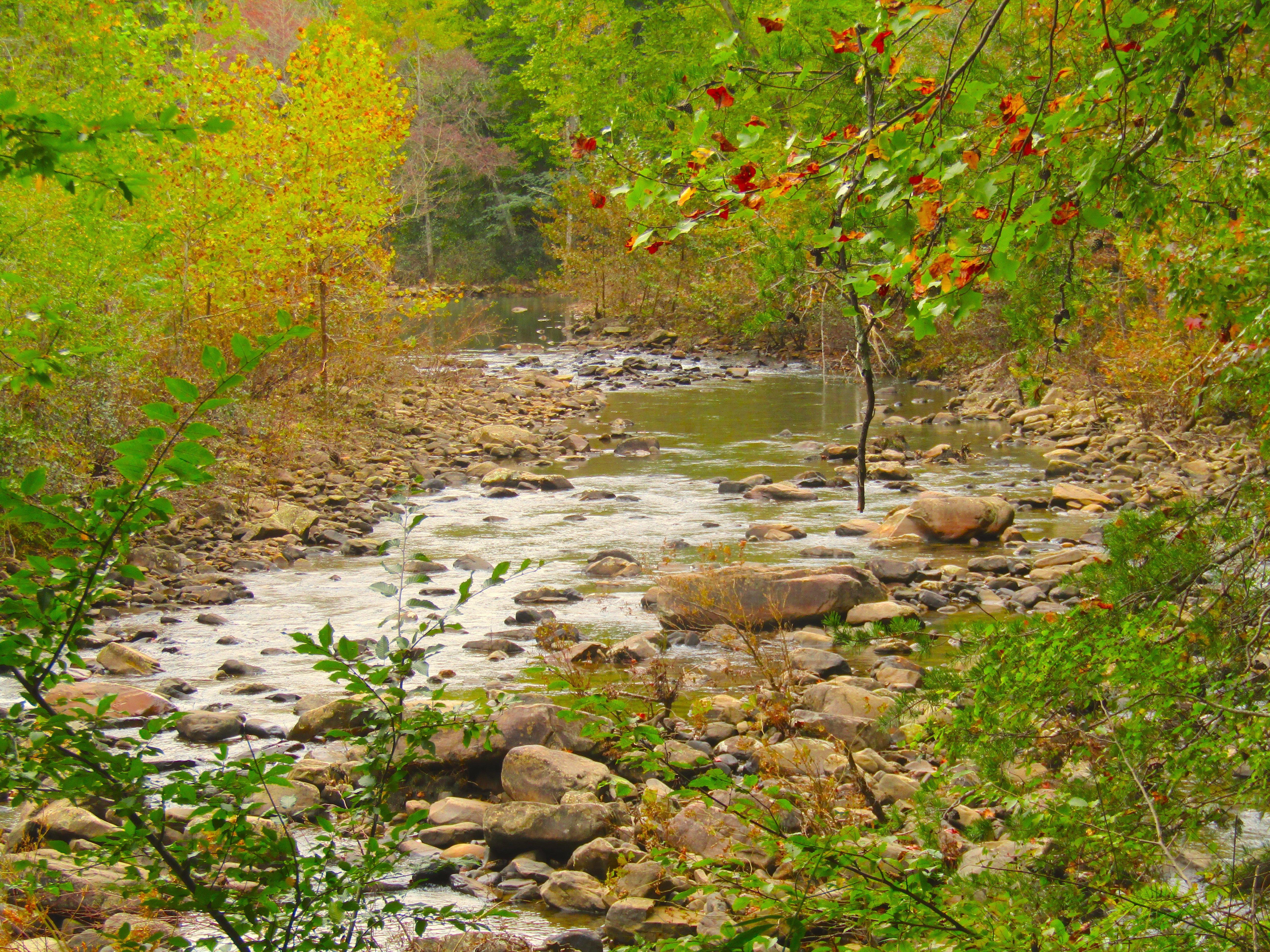 Photo by Bob19512014