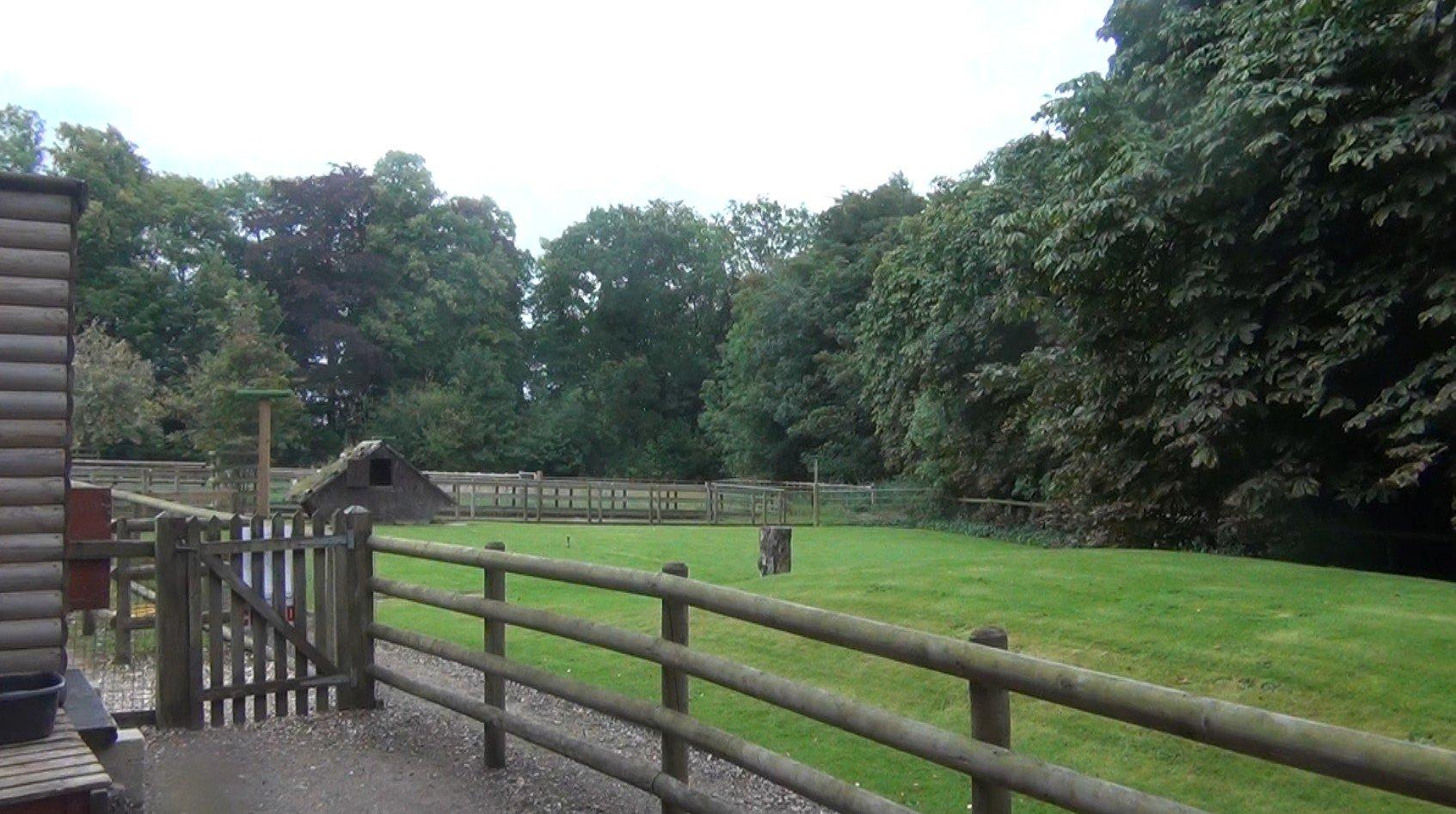 Hawksflight Falconry