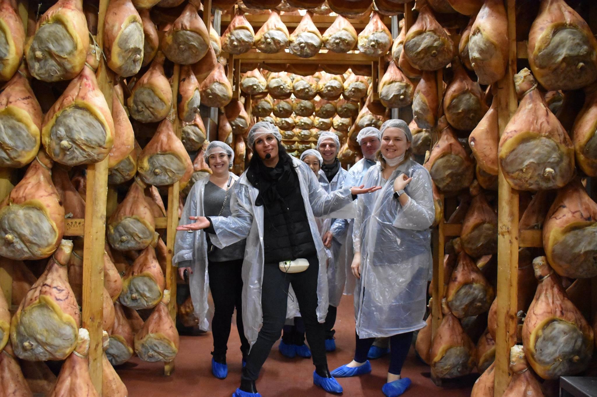 Maestro Travel Experience