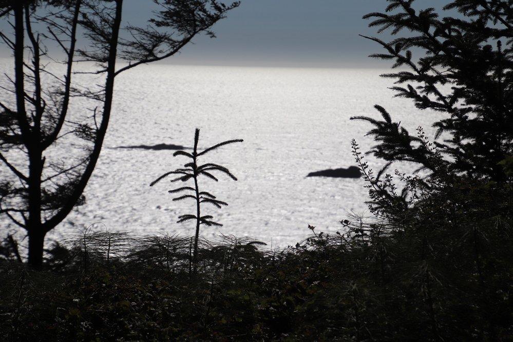 Spruce Island Viewpoint