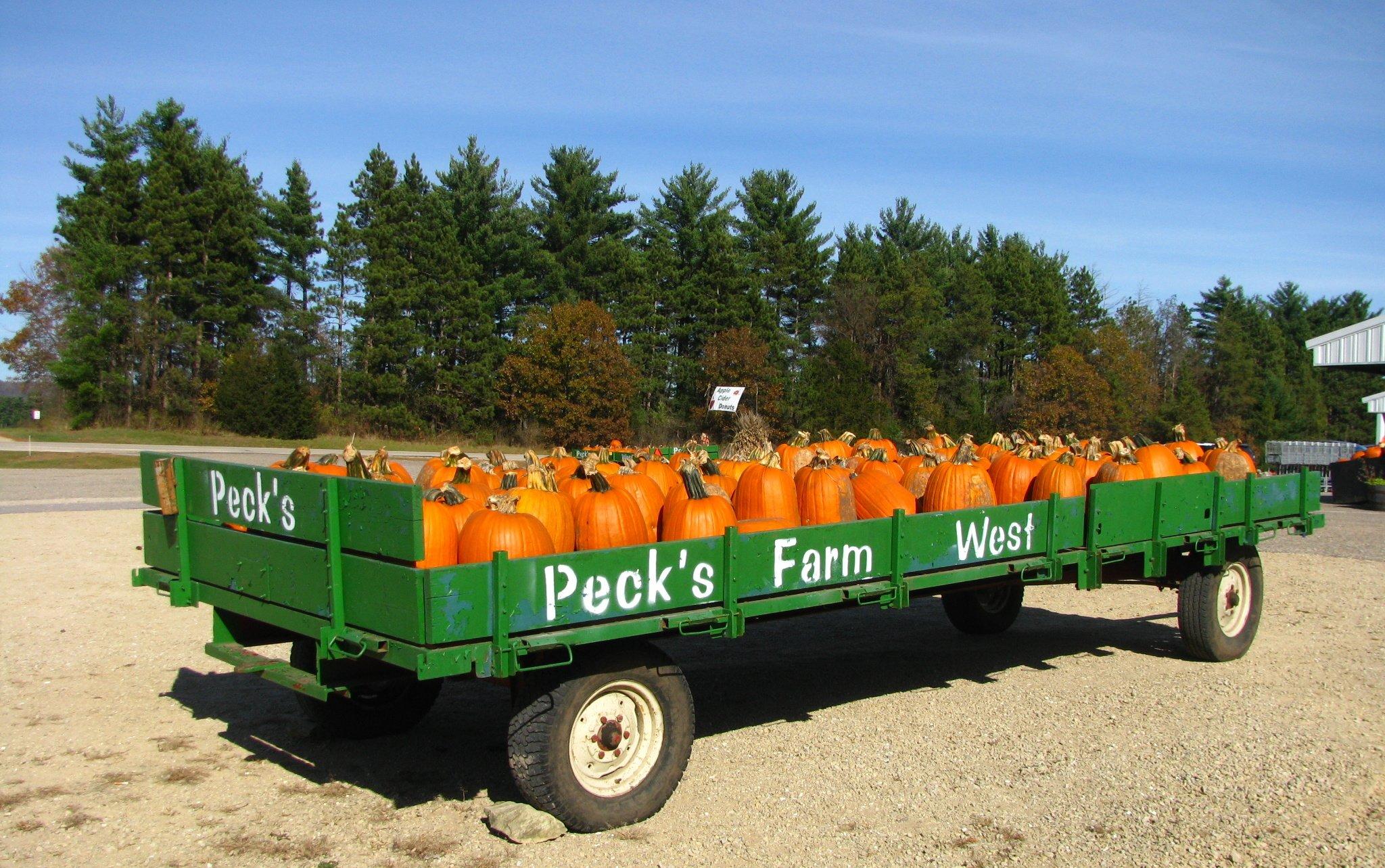 Peck's Farm Market 1 West