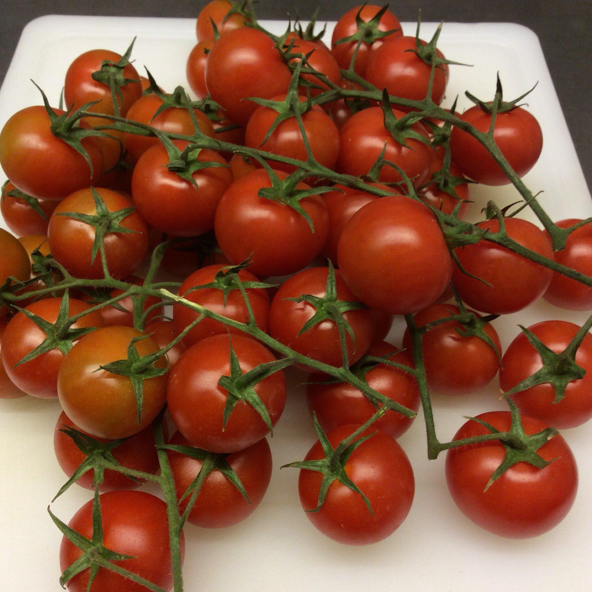 Sunats Kebab Newport Pagnell