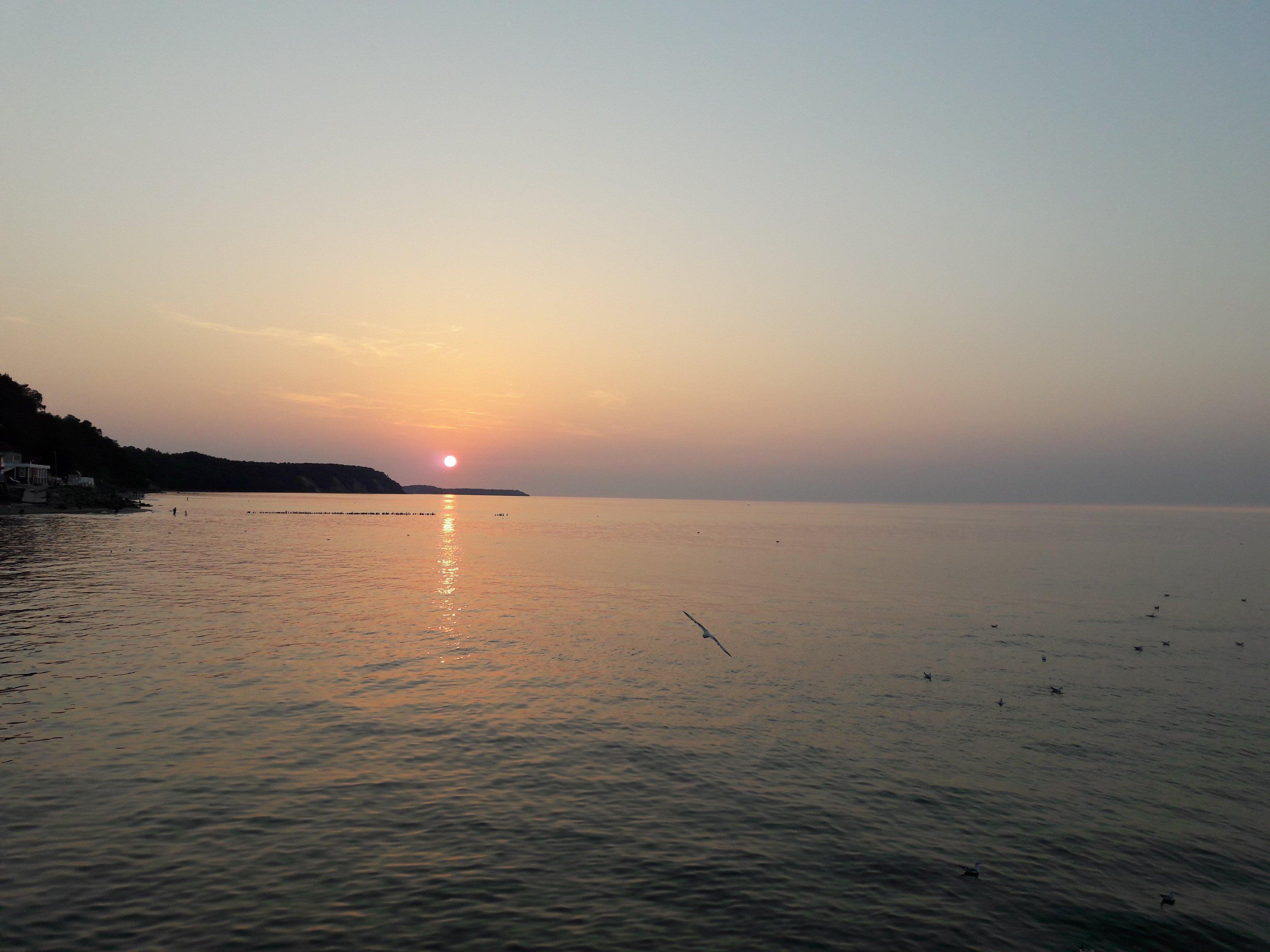 Your Guide in Kaliningrad