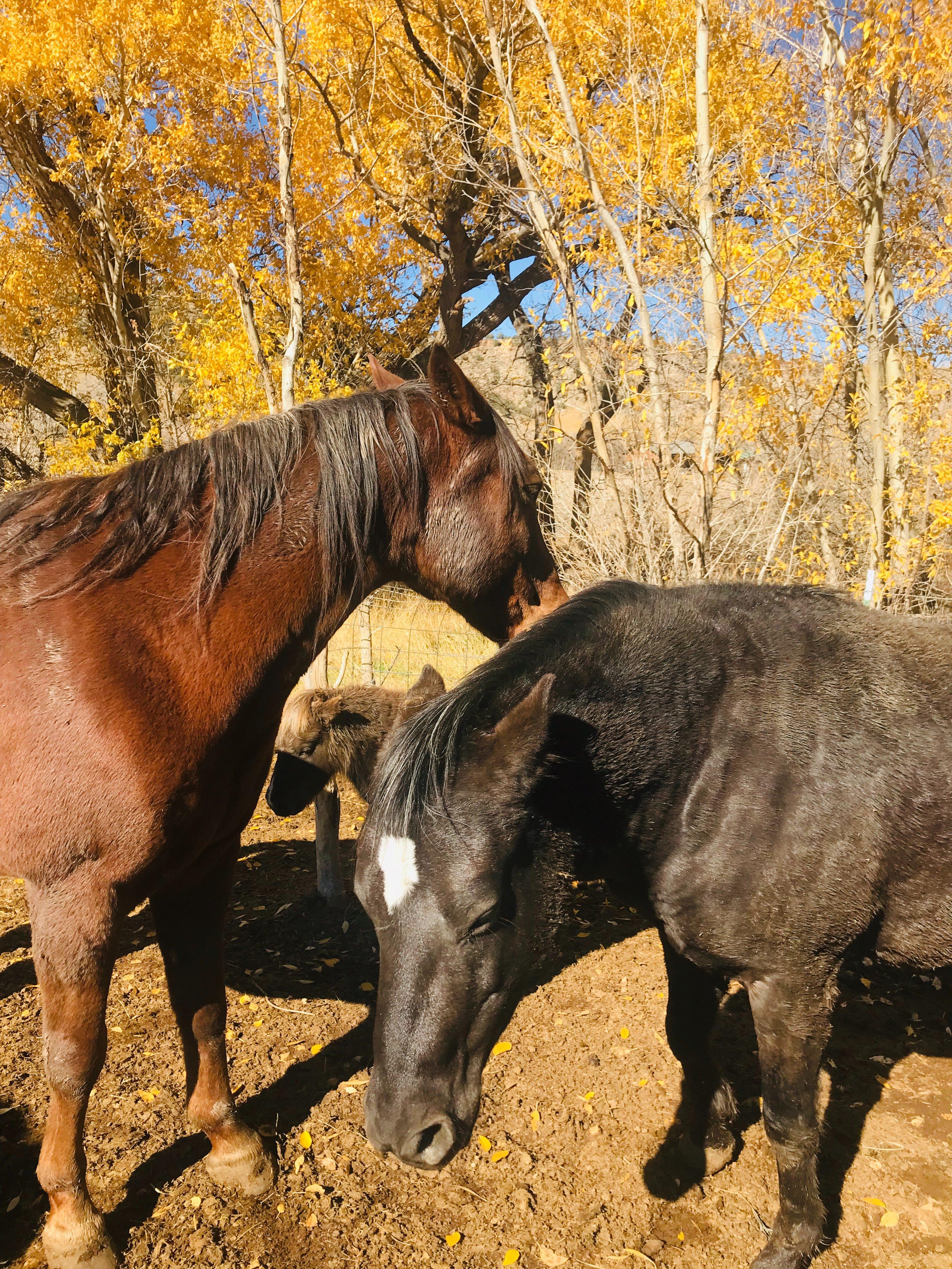 Photo by Priscilla R