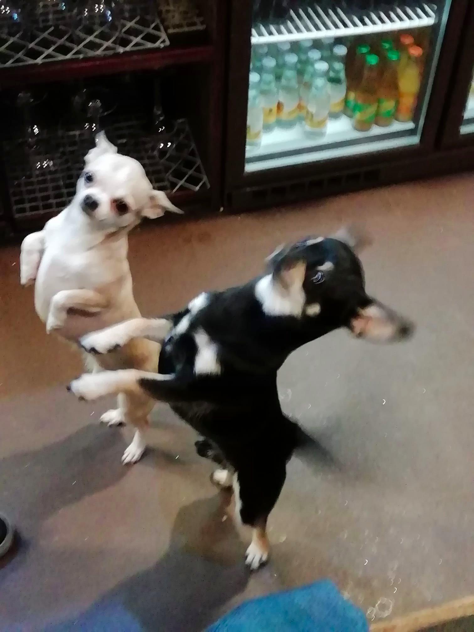 Photo by HungryLesbian