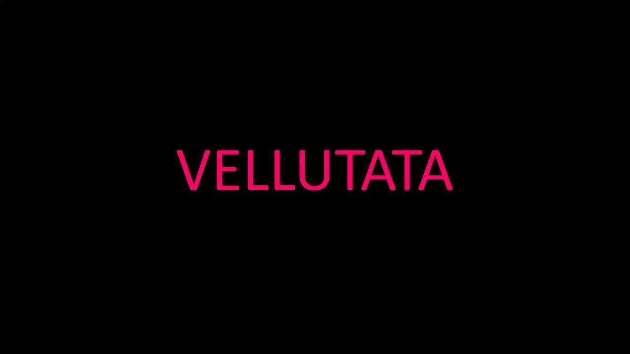 Vellutata
