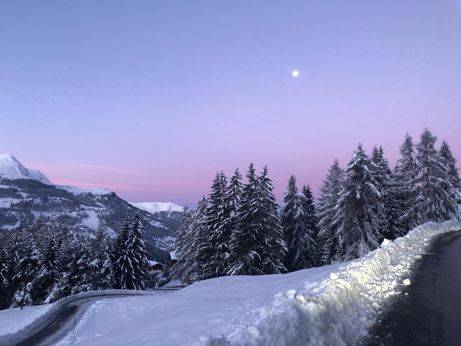 Panorama Restaurant Triemel