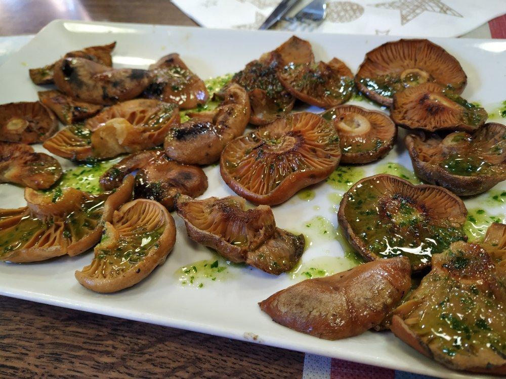 El Mirador del Carmelo