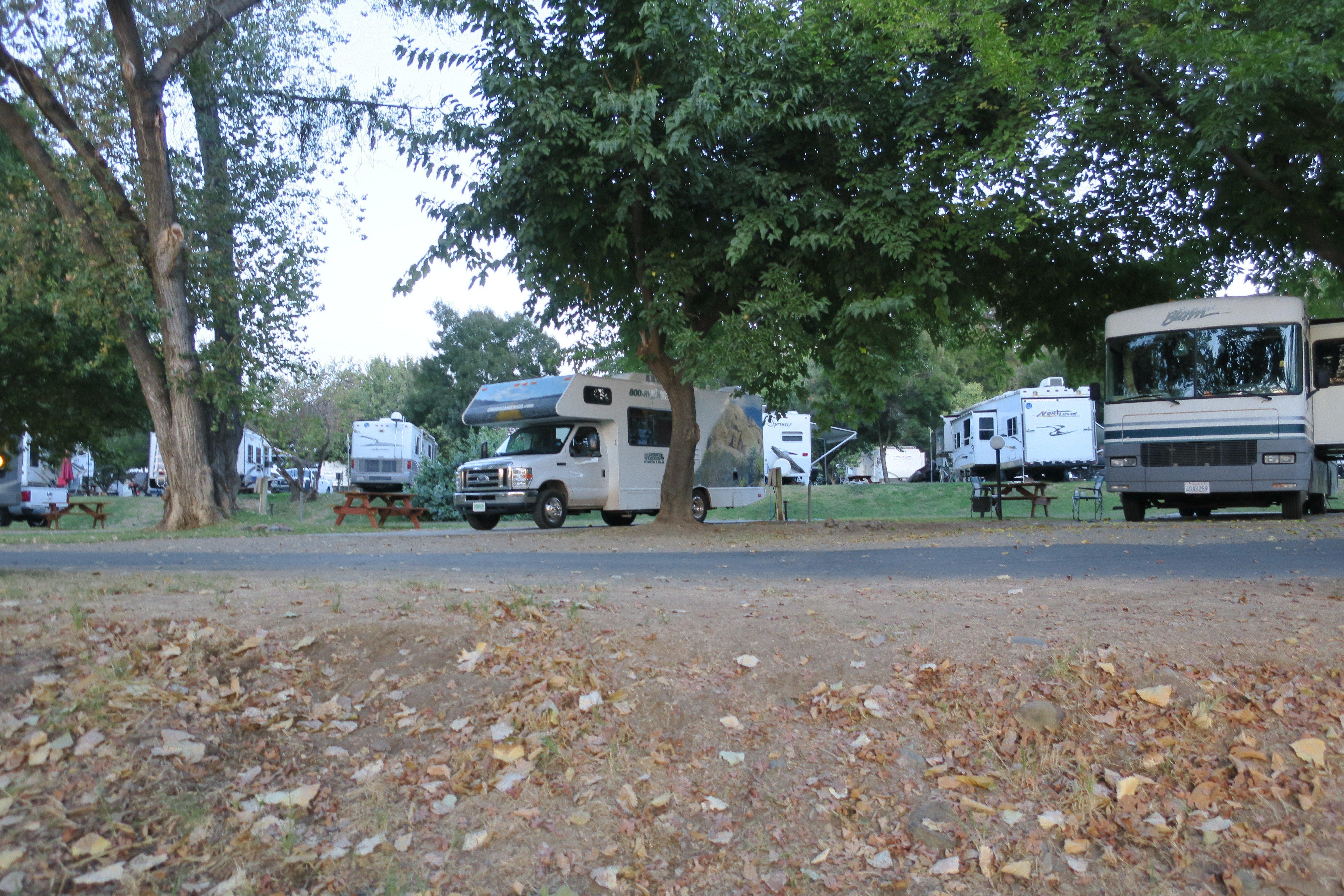 River Reflections RV Resort and Campground